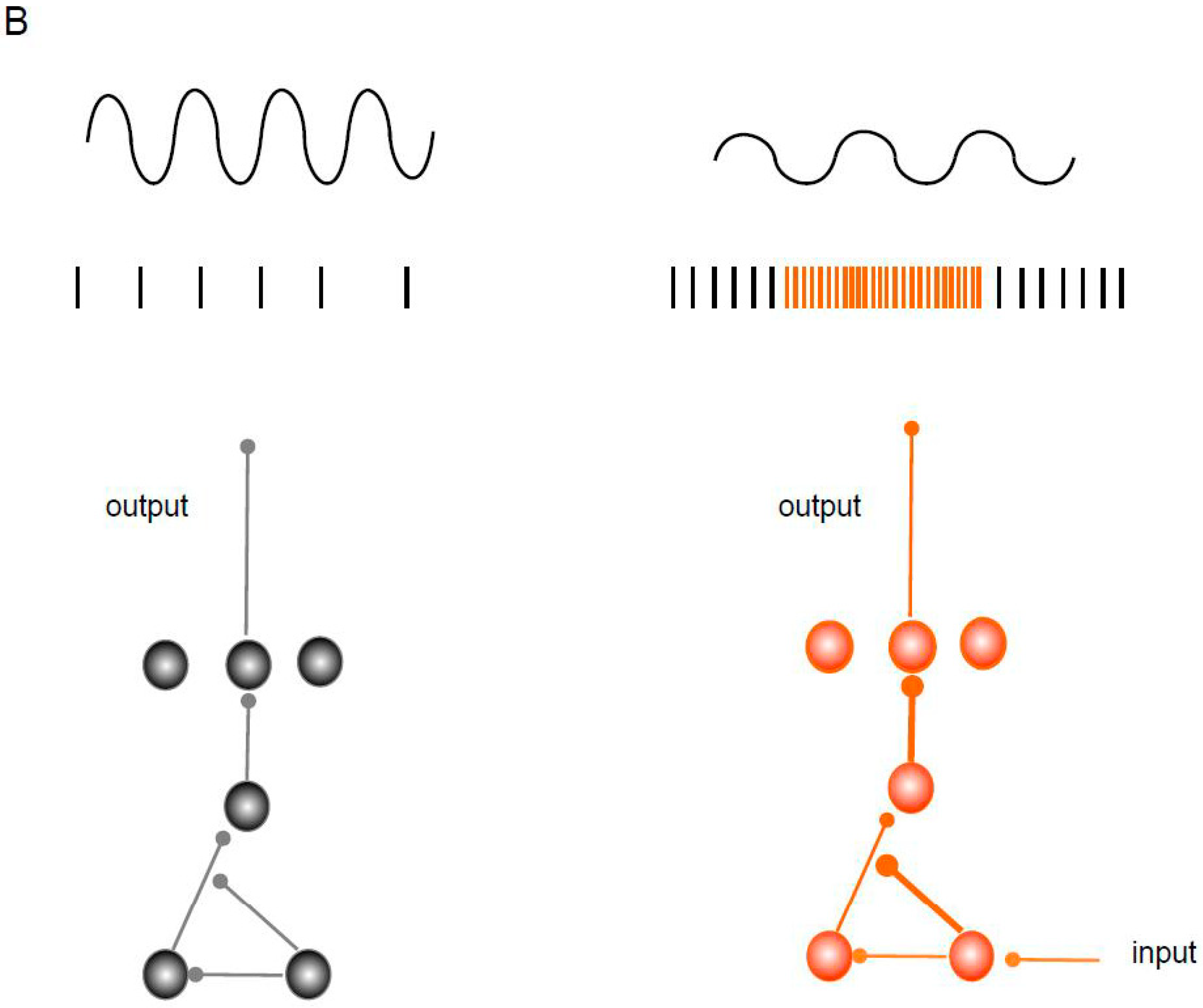 Ijms 25 01340 g001b Ijms 25 01340 g001b