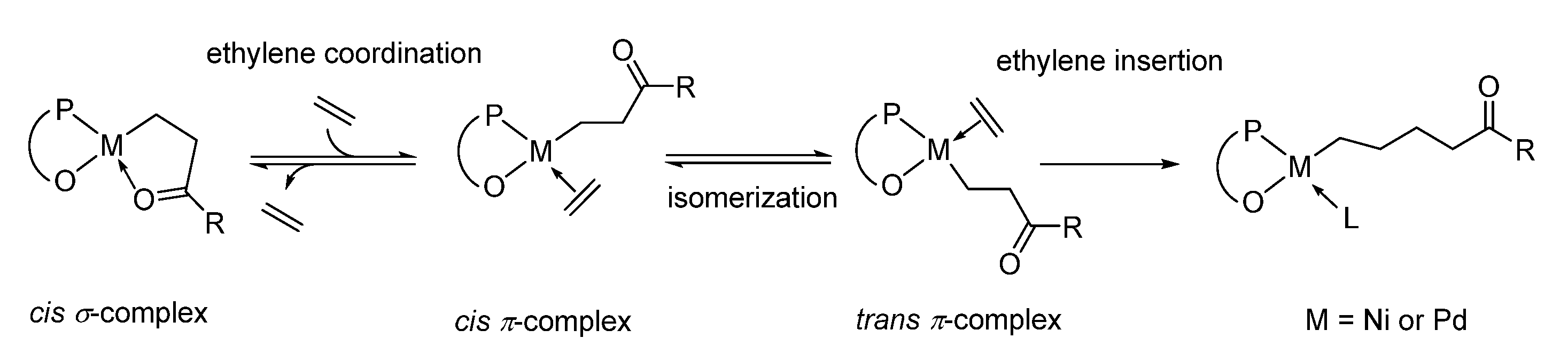 Ijms 25 01348 sch002
