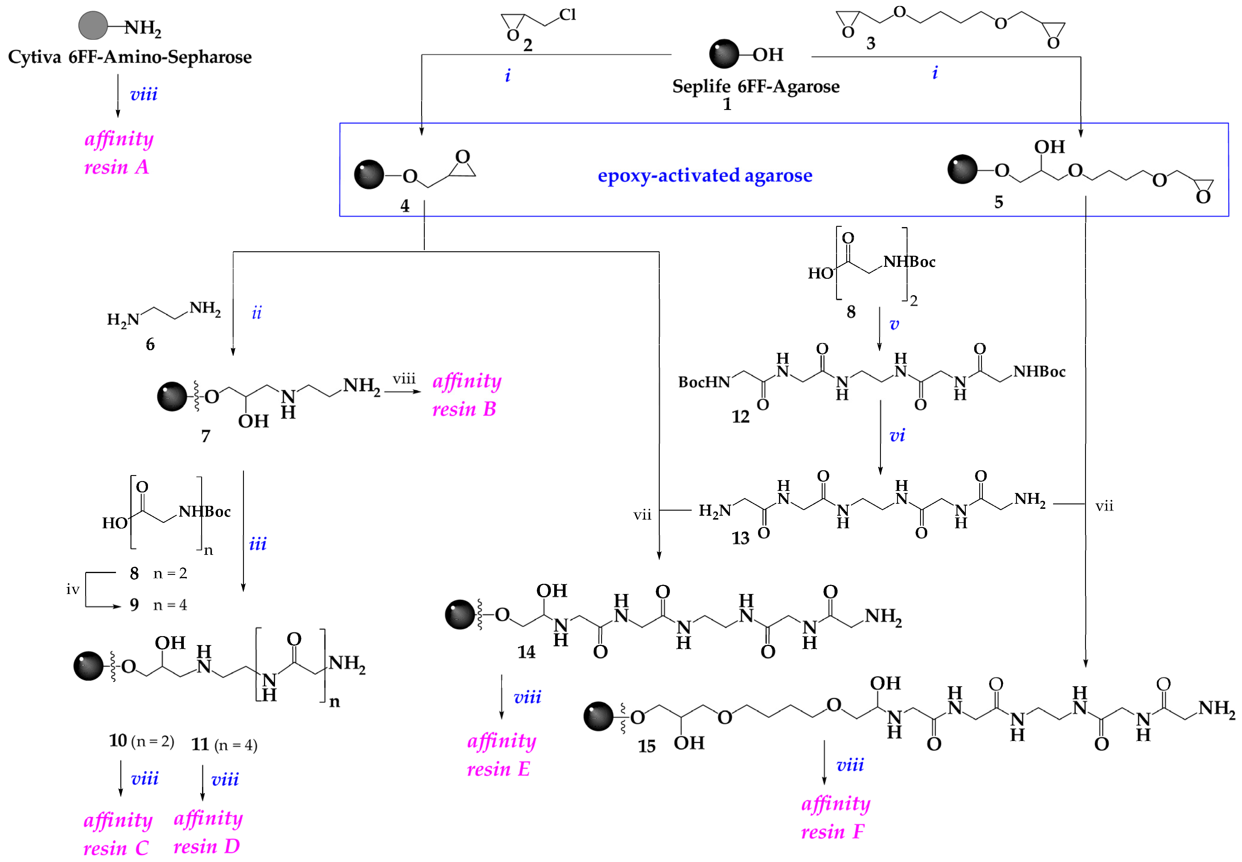 Ijms 25 01367 sch001