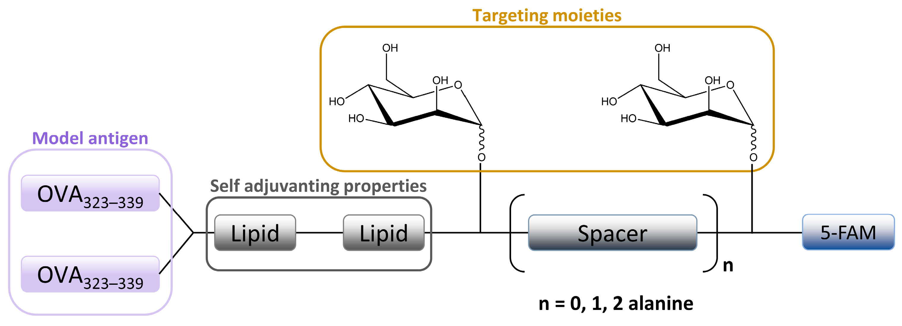 Ijms 25 01370 g006 Ijms 25 01370 g006