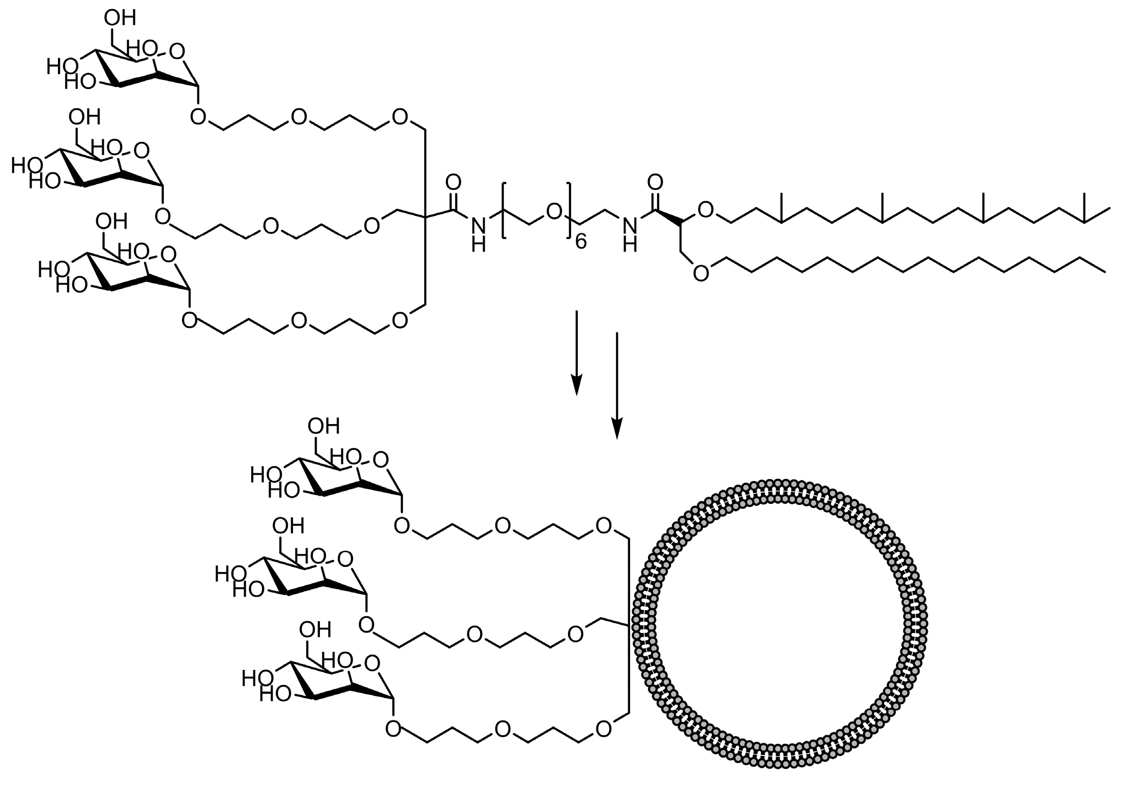 Ijms 25 01370 g007 Ijms 25 01370 g007
