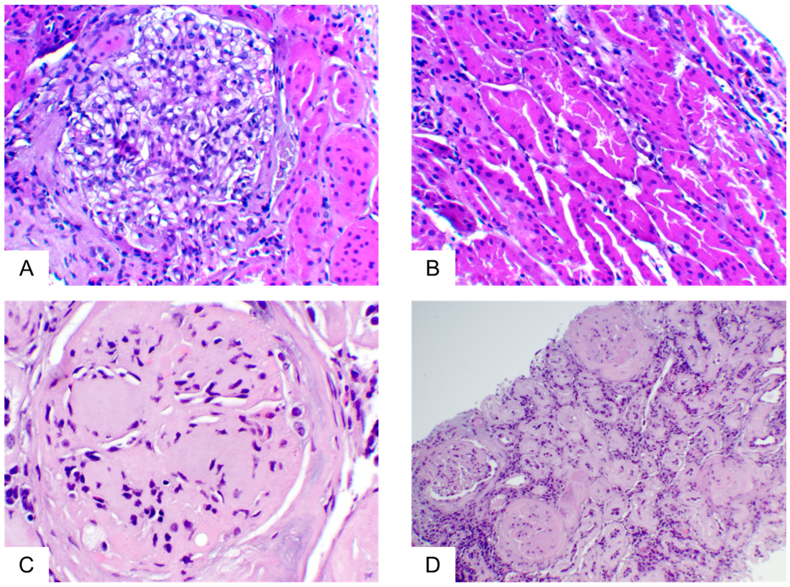 Ijms 25 01387 g001 Ijms 25 01387 g001