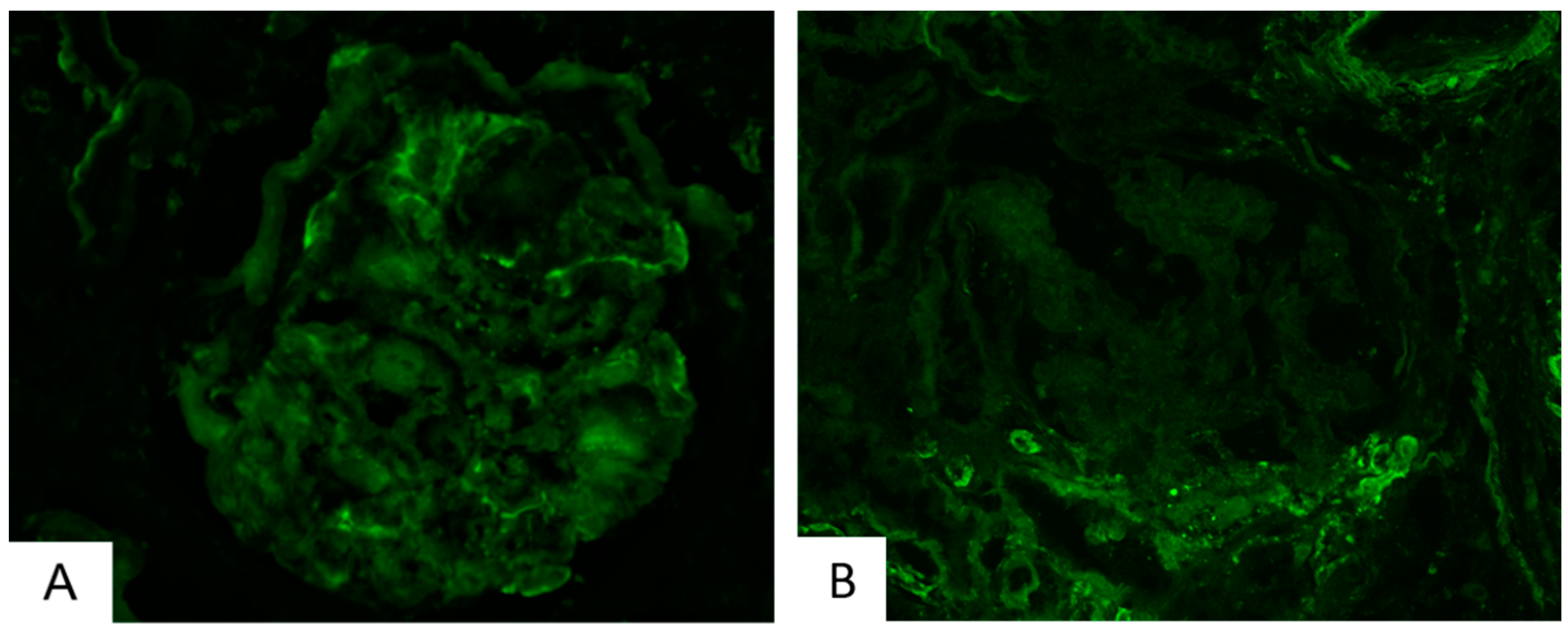 Ijms 25 01387 g002 Ijms 25 01387 g002