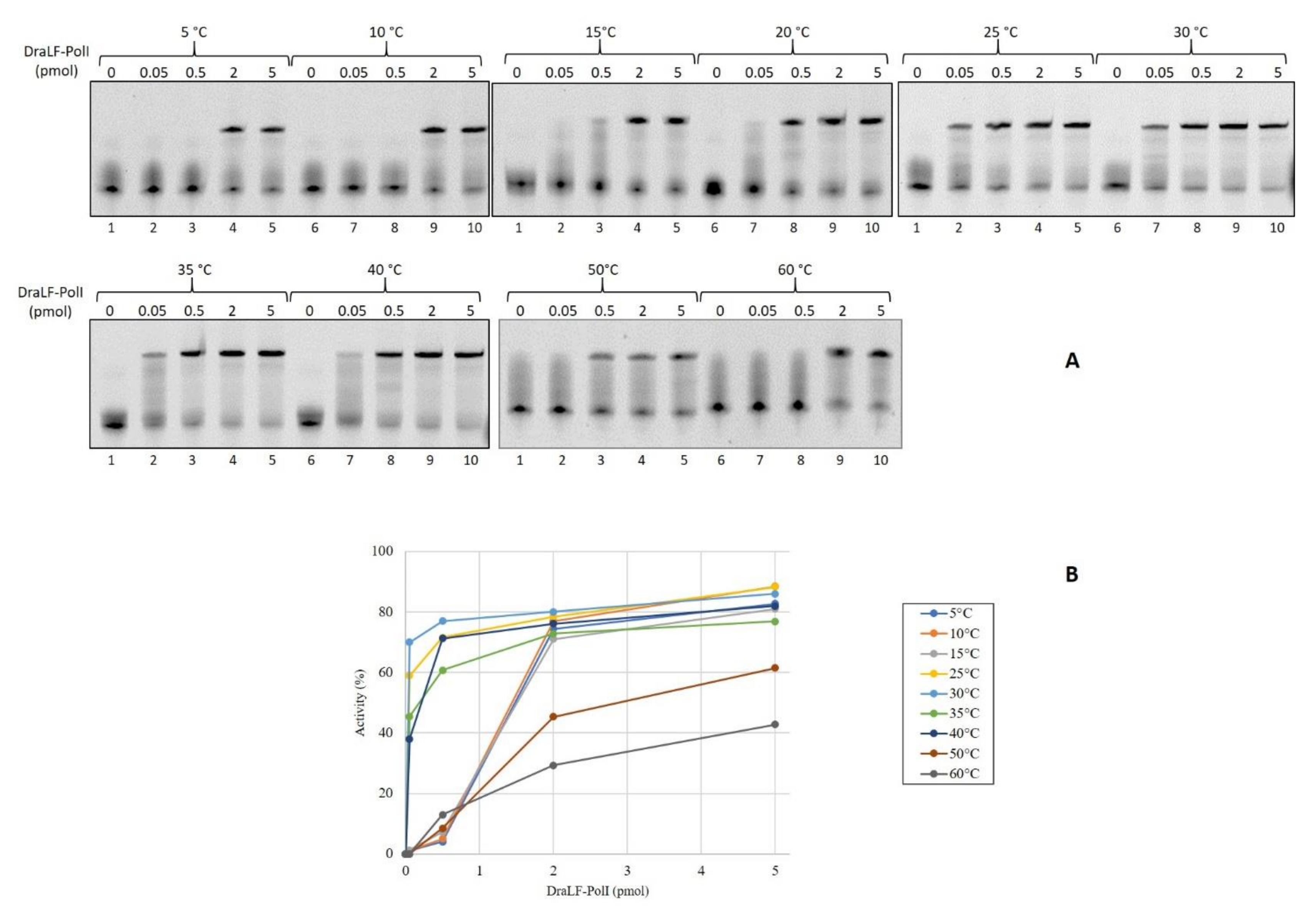 Ijms 25 01392 g002 Ijms 25 01392 g002