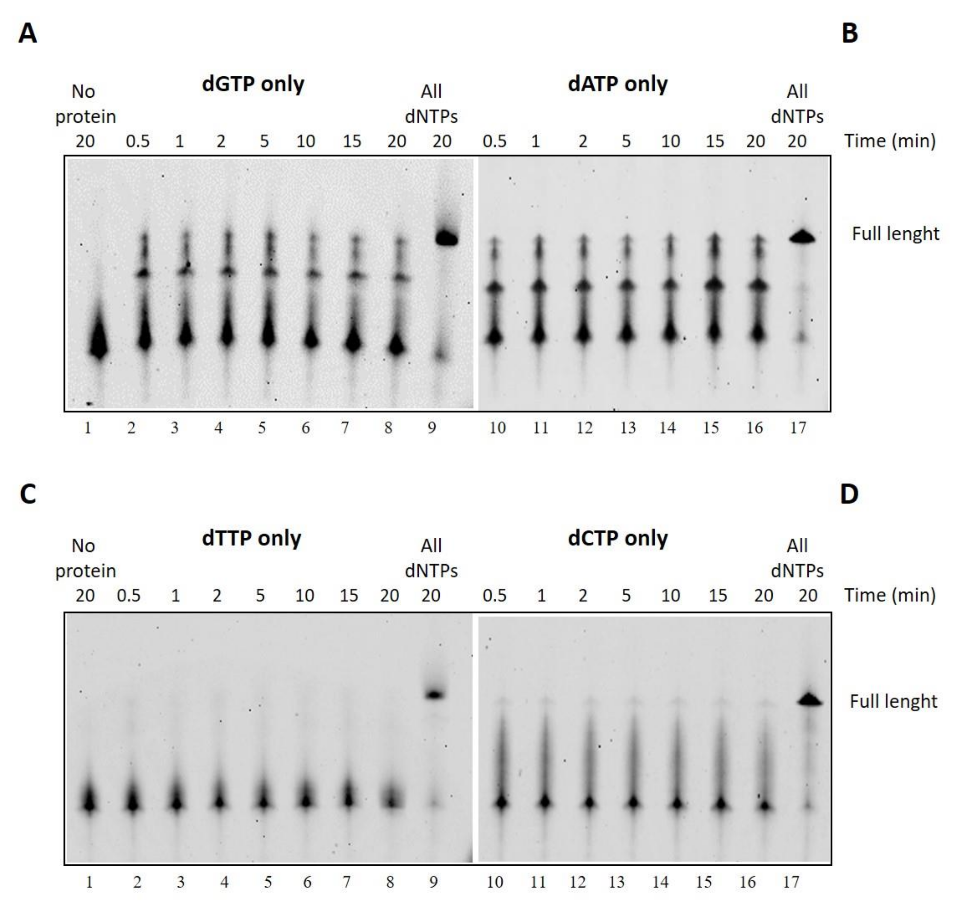 Ijms 25 01392 g007 Ijms 25 01392 g007