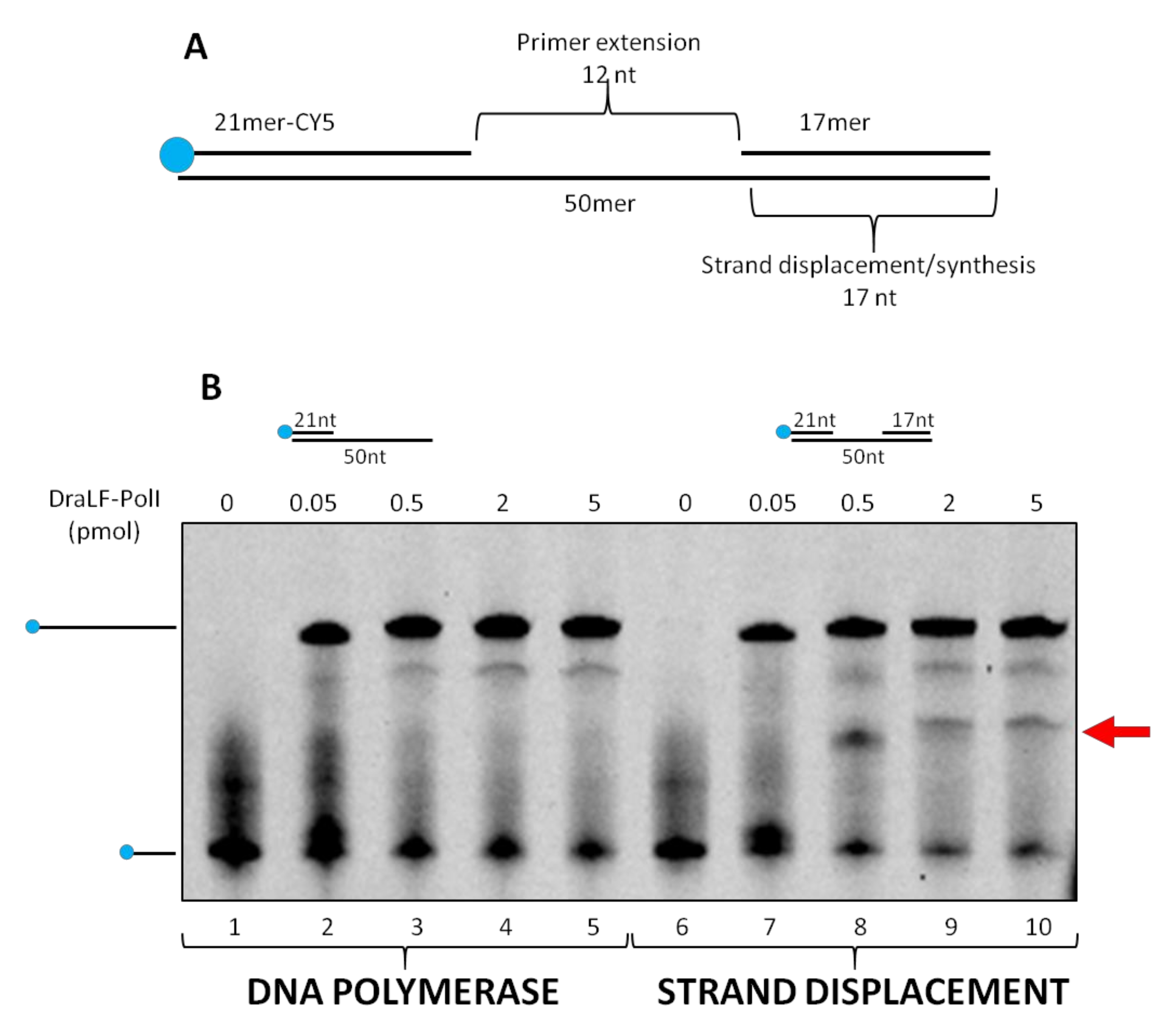 Ijms 25 01392 g008 Ijms 25 01392 g008
