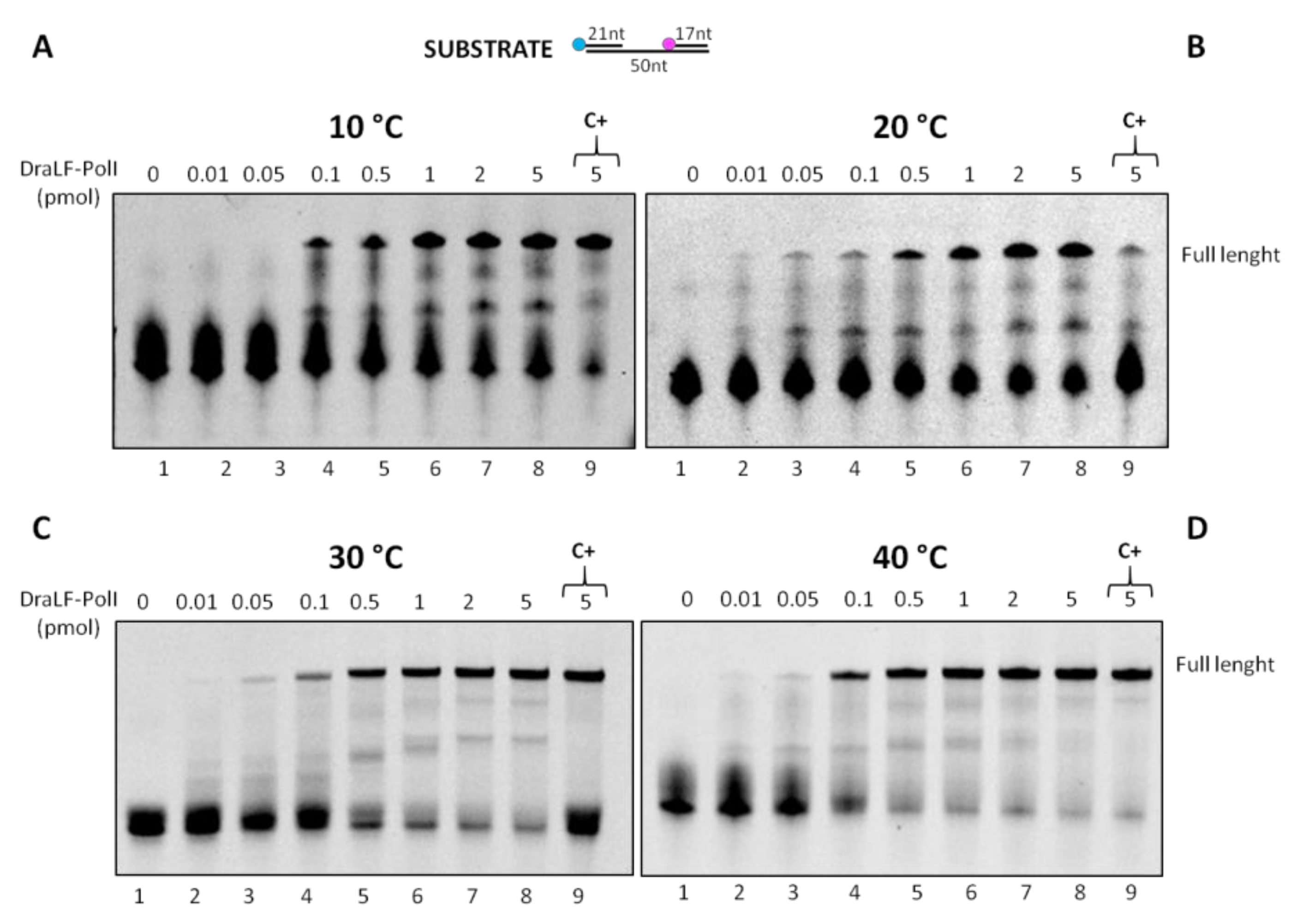 Ijms 25 01392 g010 Ijms 25 01392 g010