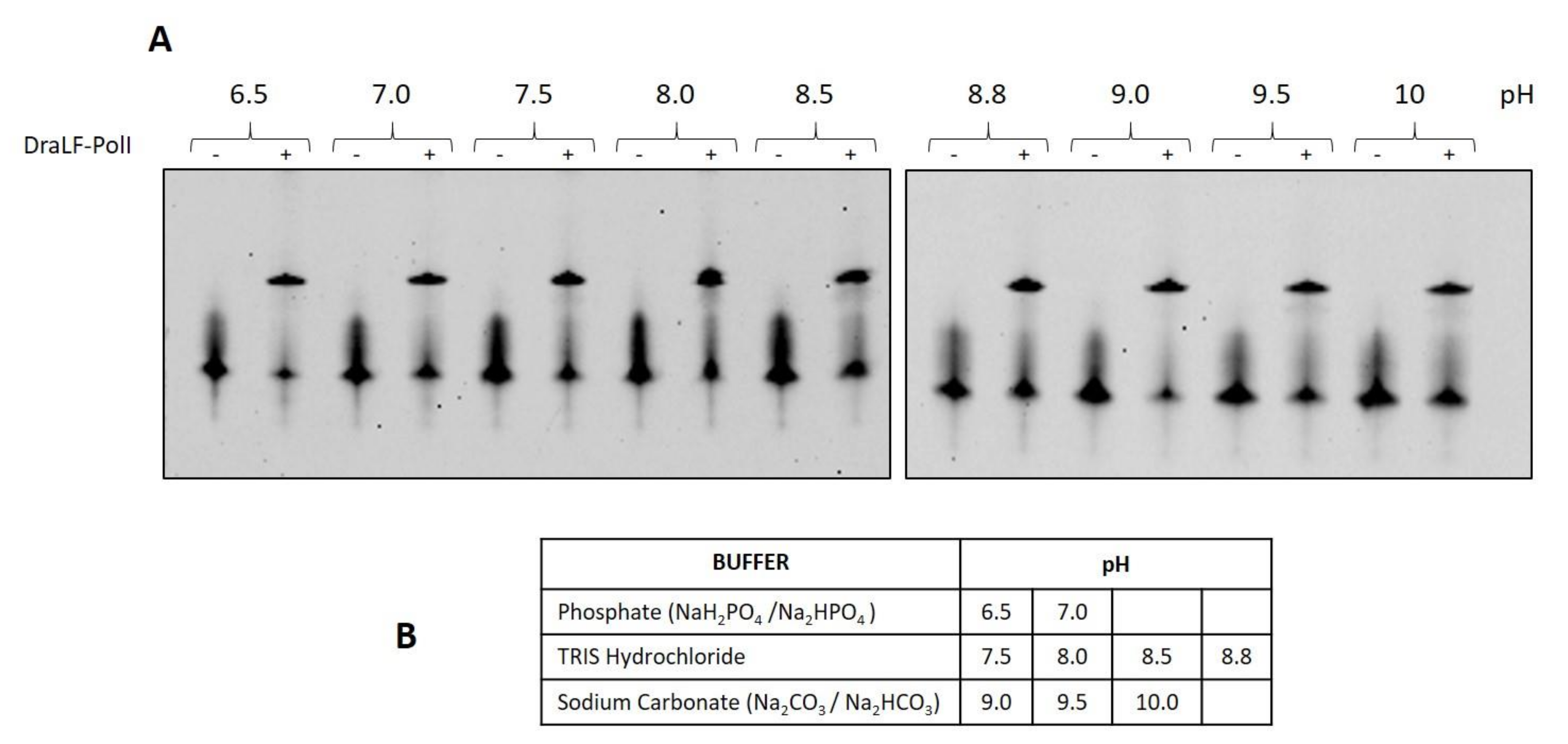 Ijms 25 01392 g012 Ijms 25 01392 g012