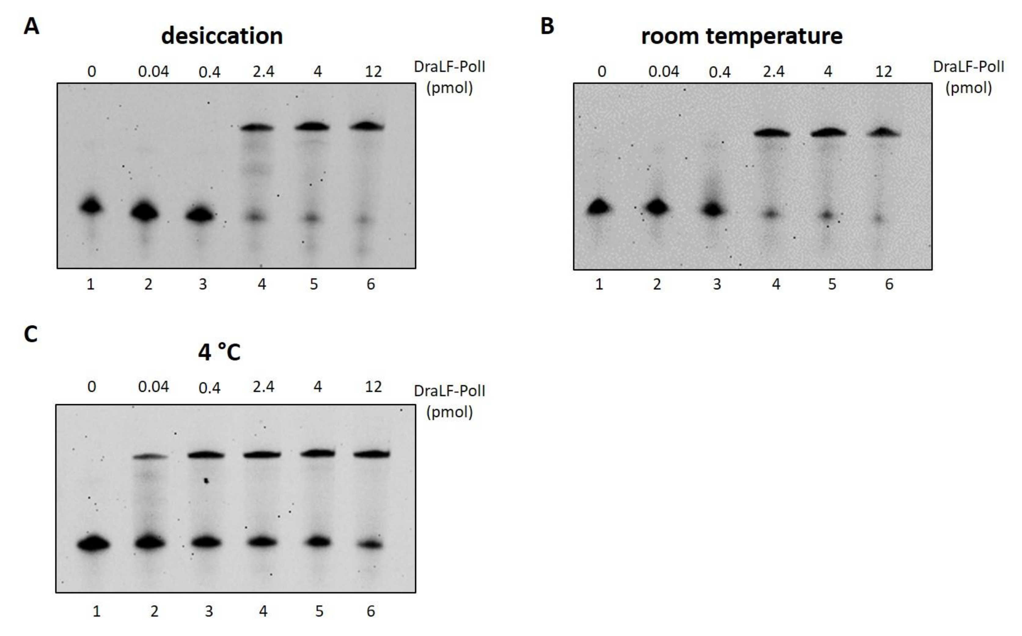 Ijms 25 01392 g013 Ijms 25 01392 g013