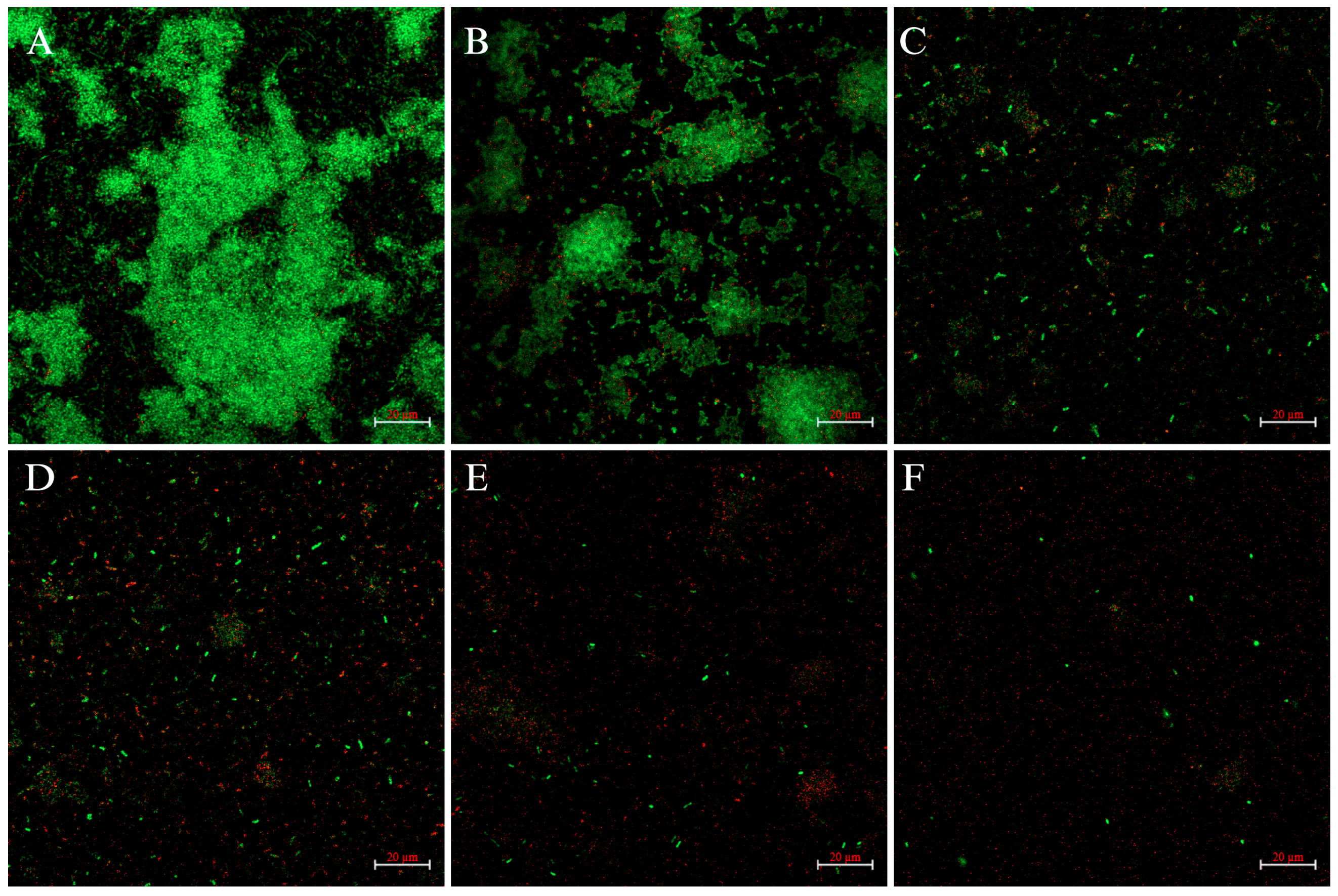 Ijms 25 01397 g002 Ijms 25 01397 g002