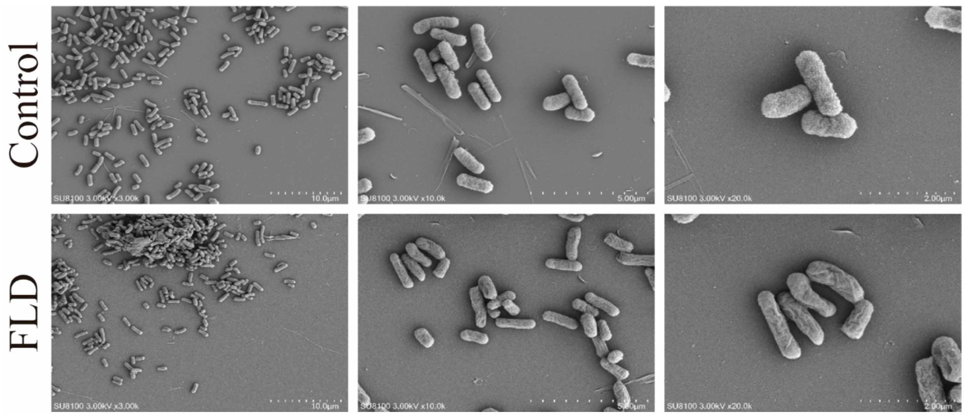 Ijms 25 01397 g003 Ijms 25 01397 g003