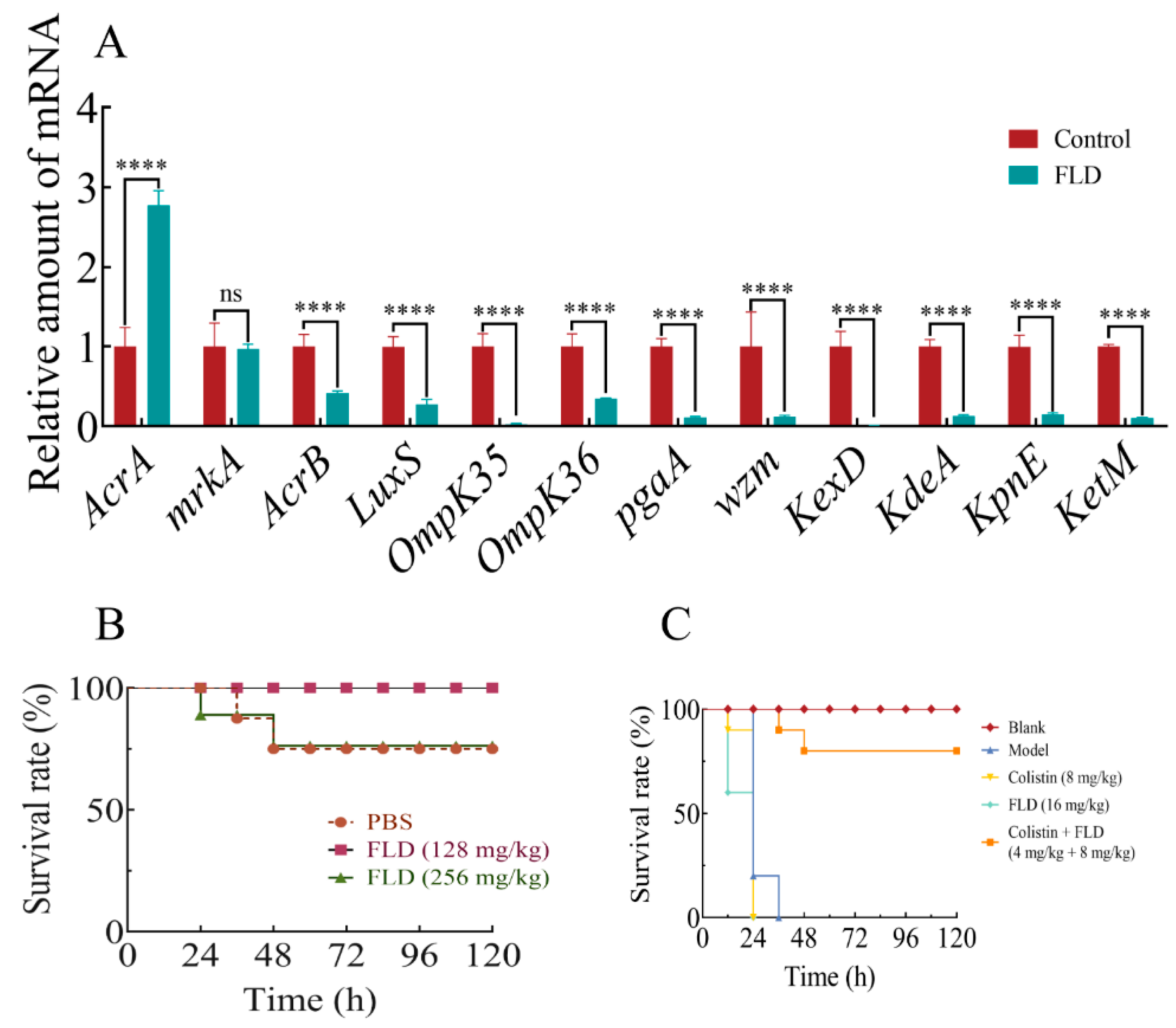 Ijms 25 01397 g006 Ijms 25 01397 g006