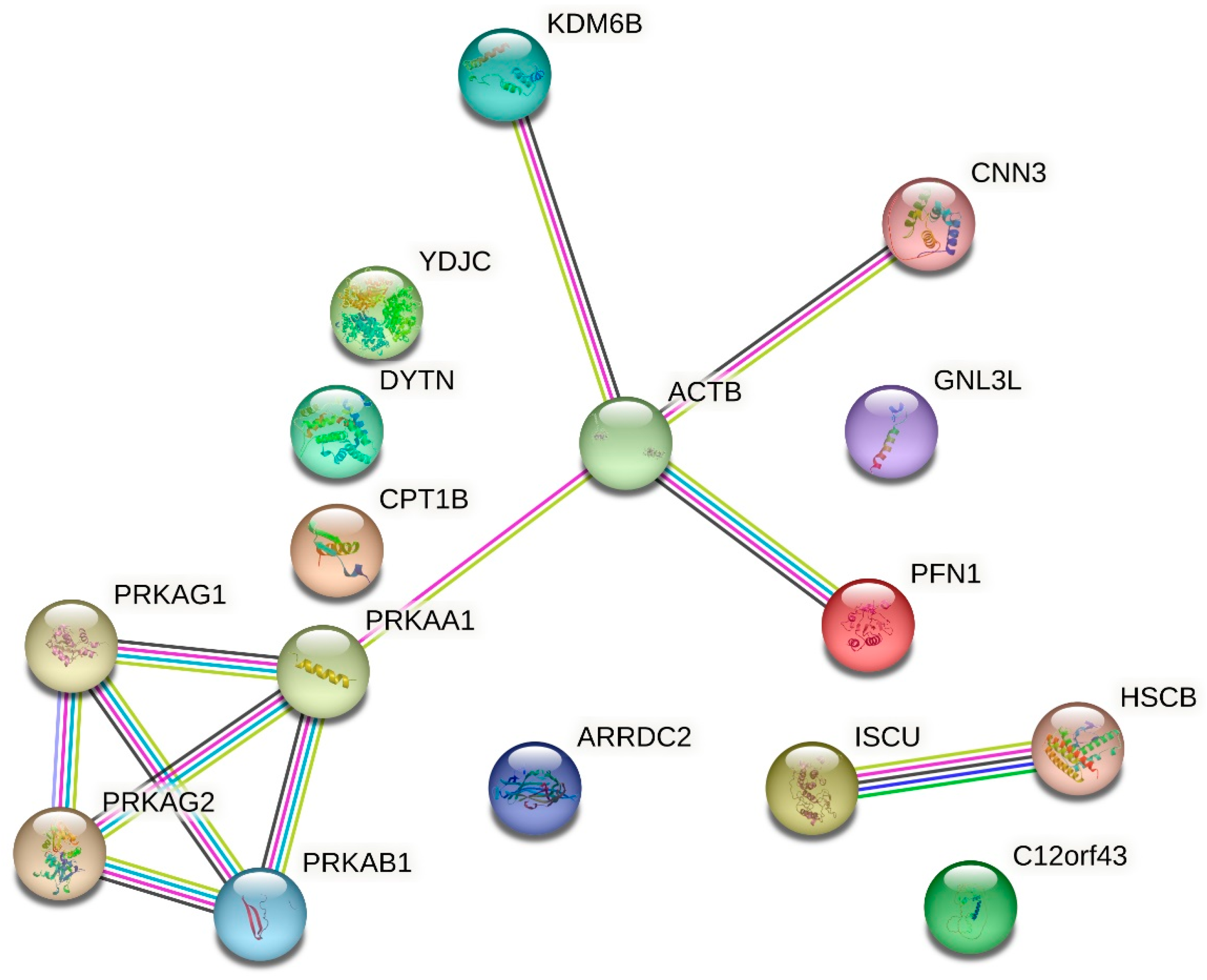 Ijms 25 01403 g005 Ijms 25 01403 g005