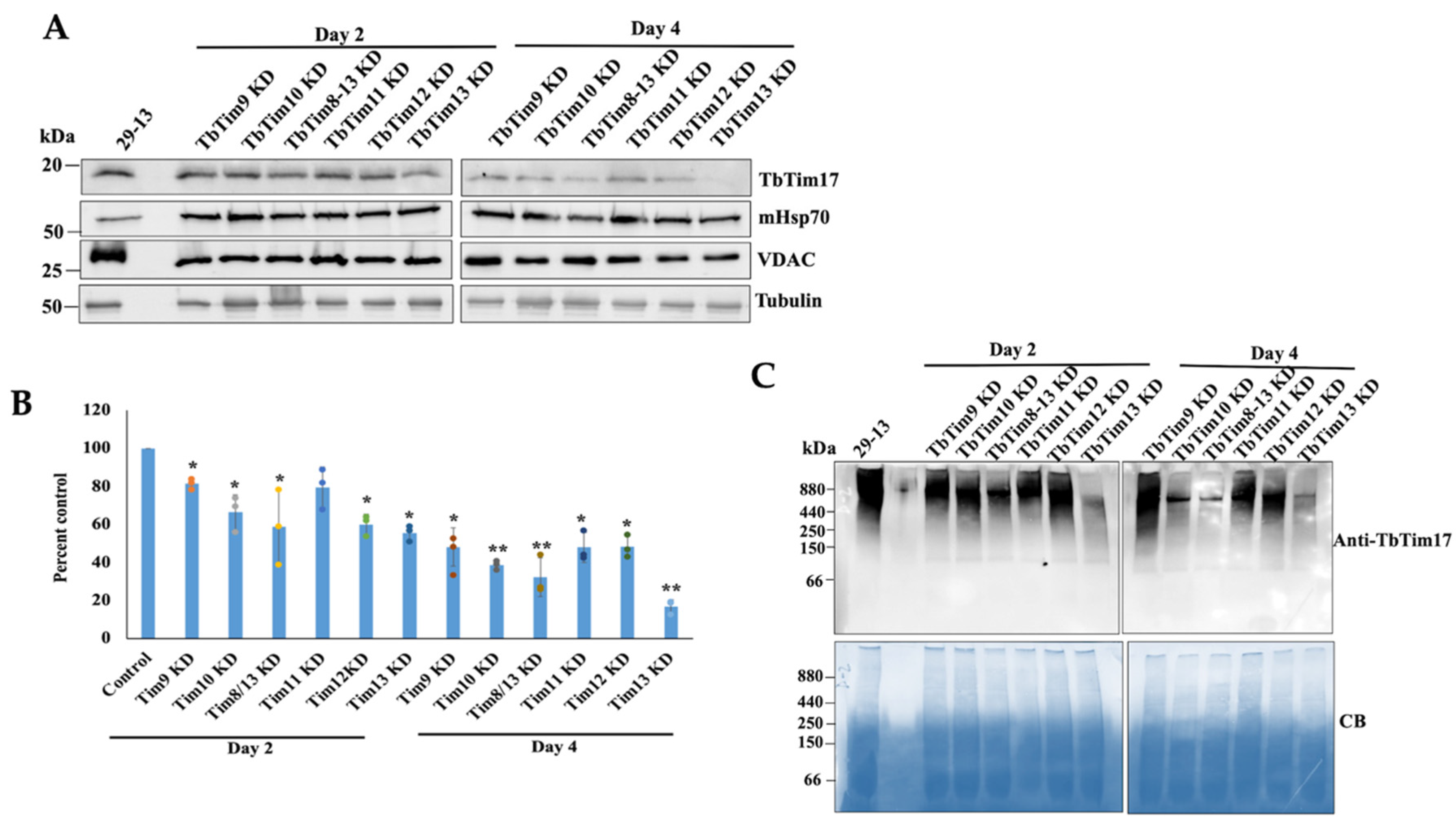 Ijms 25 01415 g005 Ijms 25 01415 g005