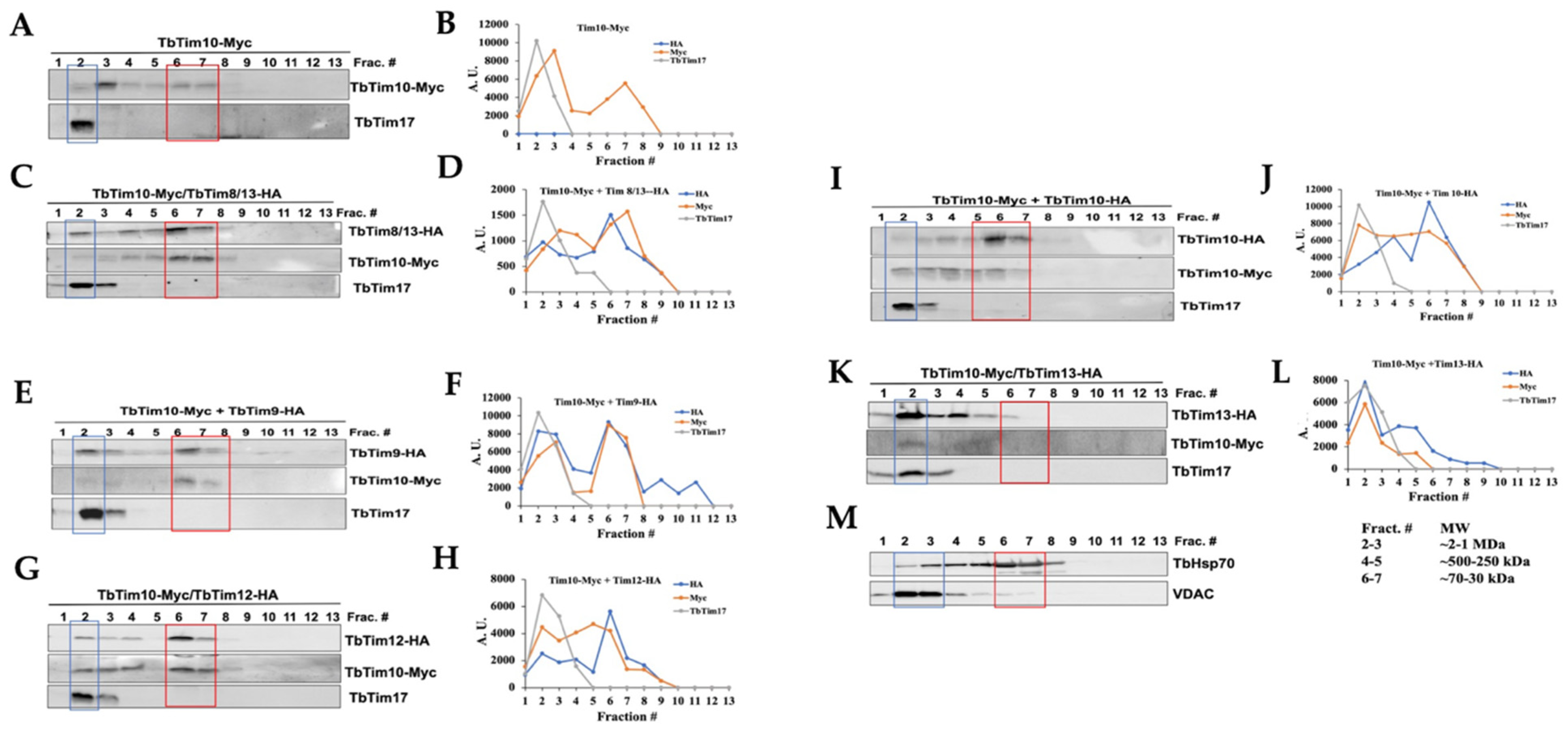 Ijms 25 01415 g006 Ijms 25 01415 g006