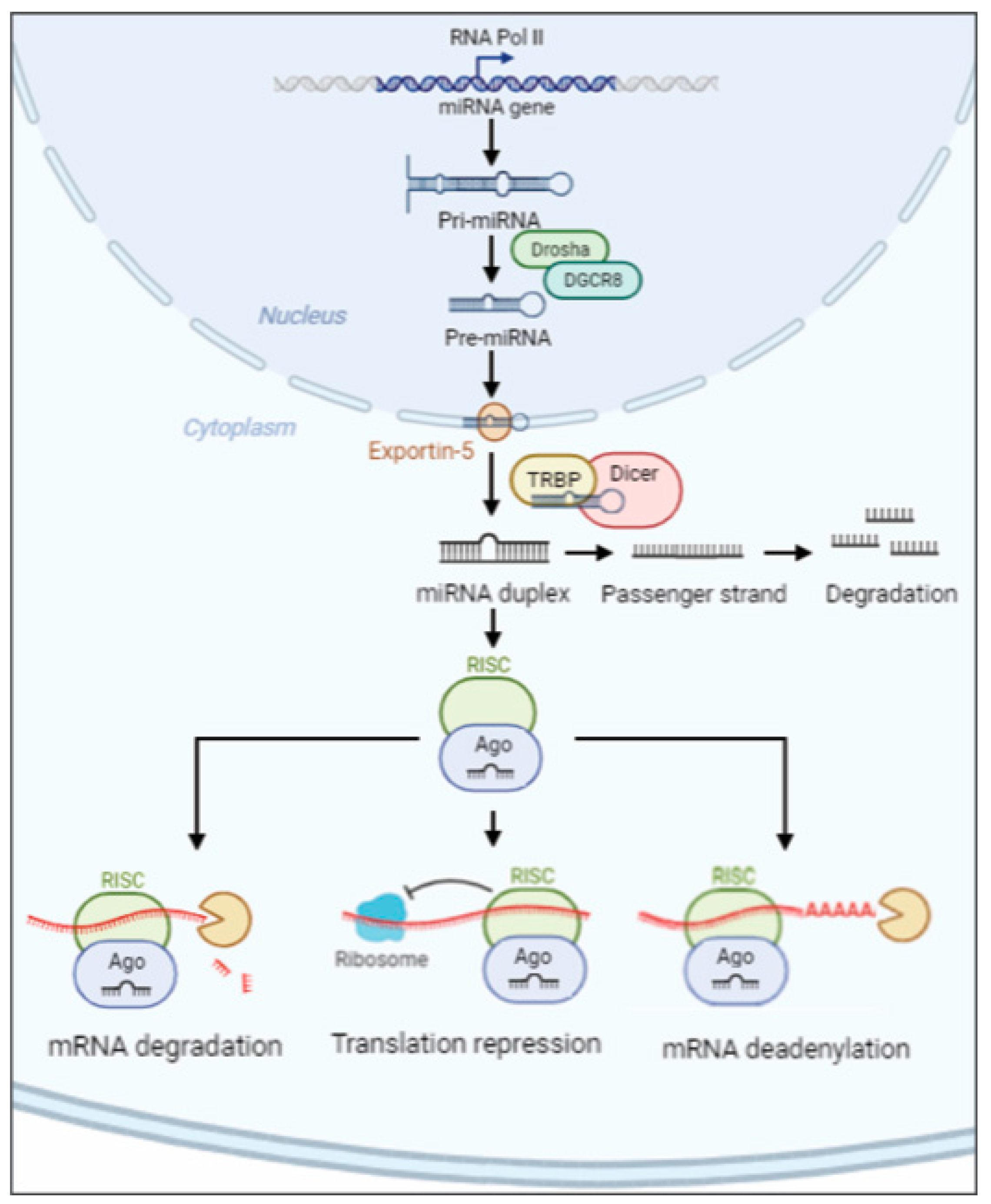Ijms 25 01418 g001 Ijms 25 01418 g001