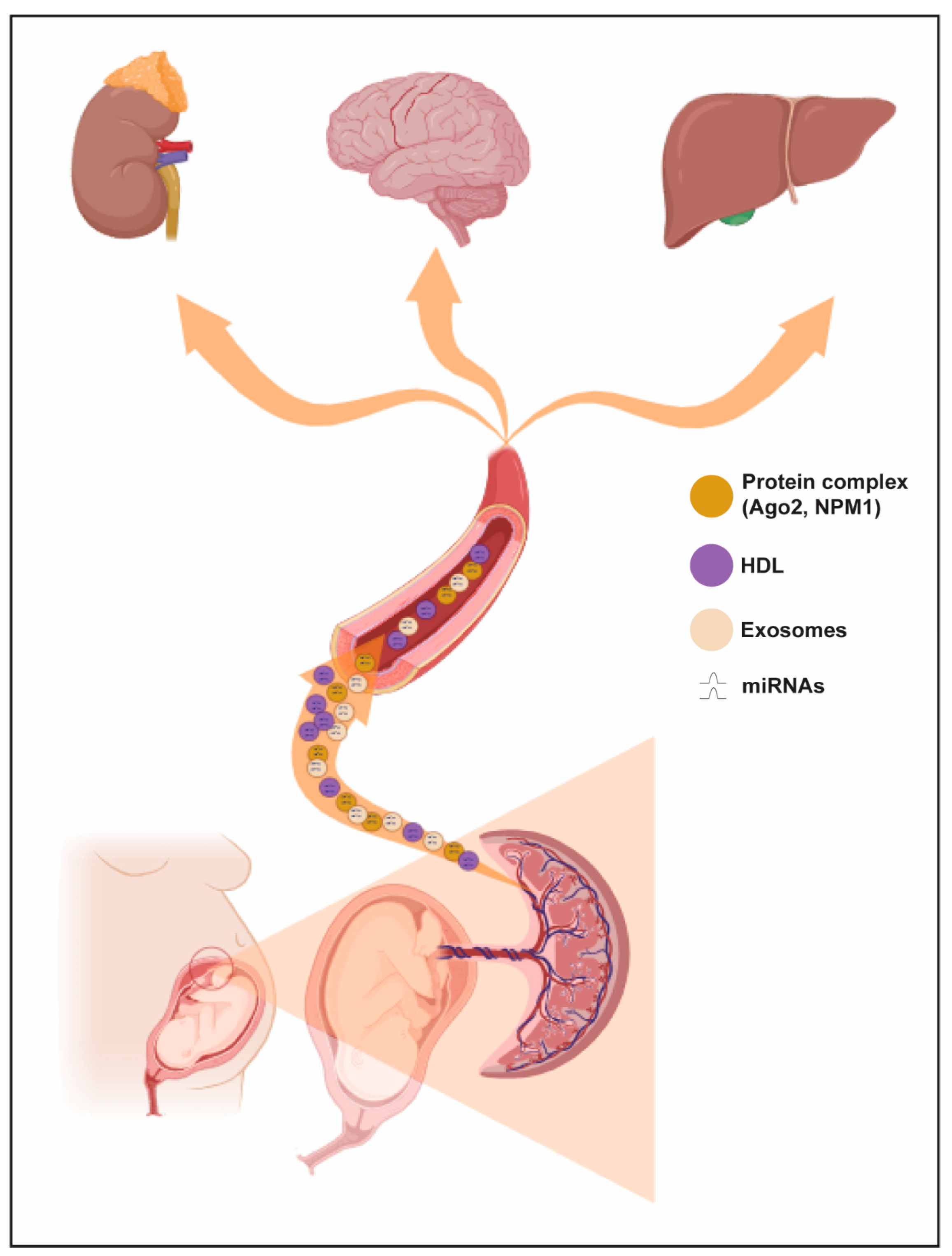 Ijms 25 01418 g002 Ijms 25 01418 g002