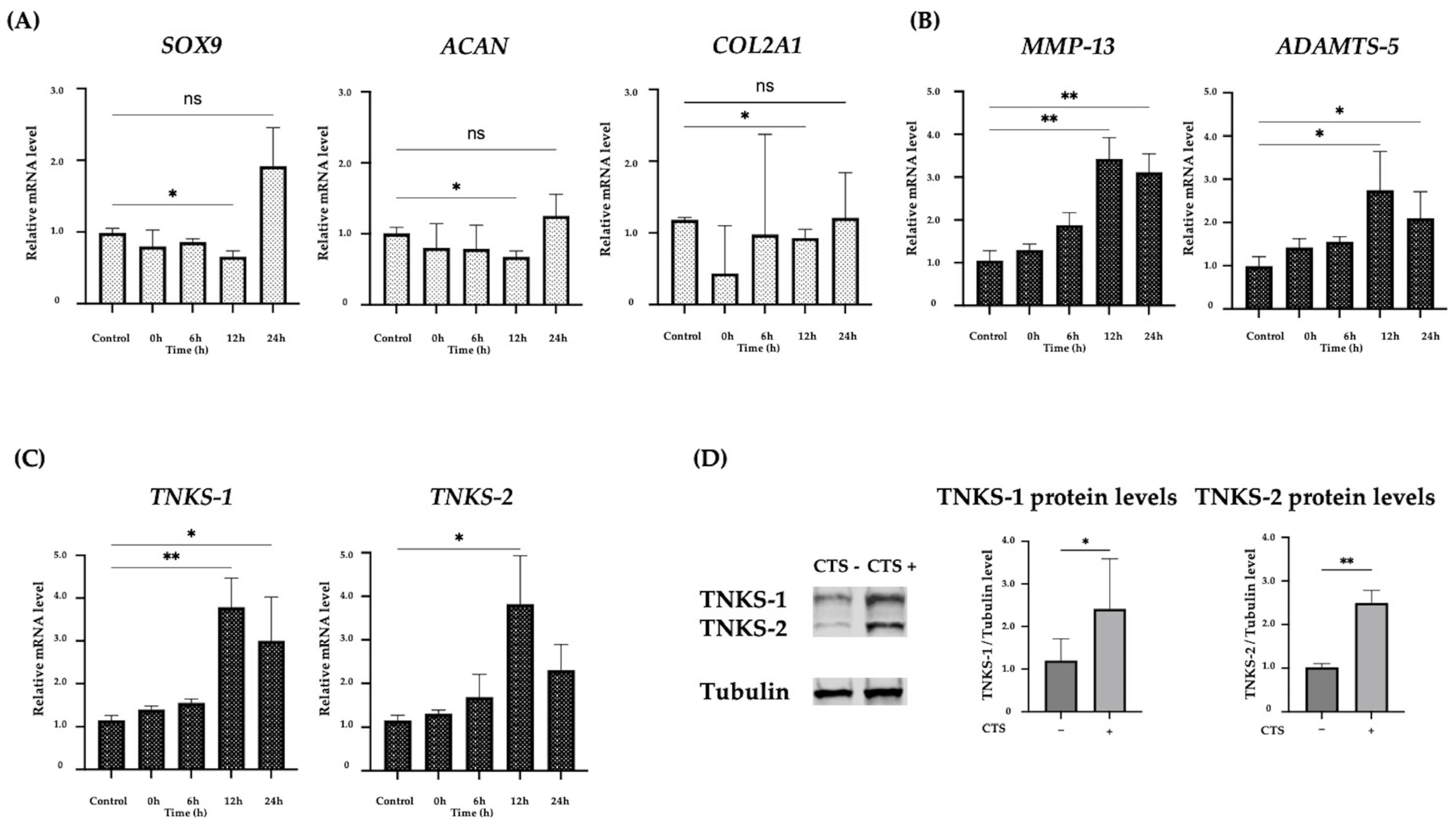 Ijms 25 01443 g001 Ijms 25 01443 g001