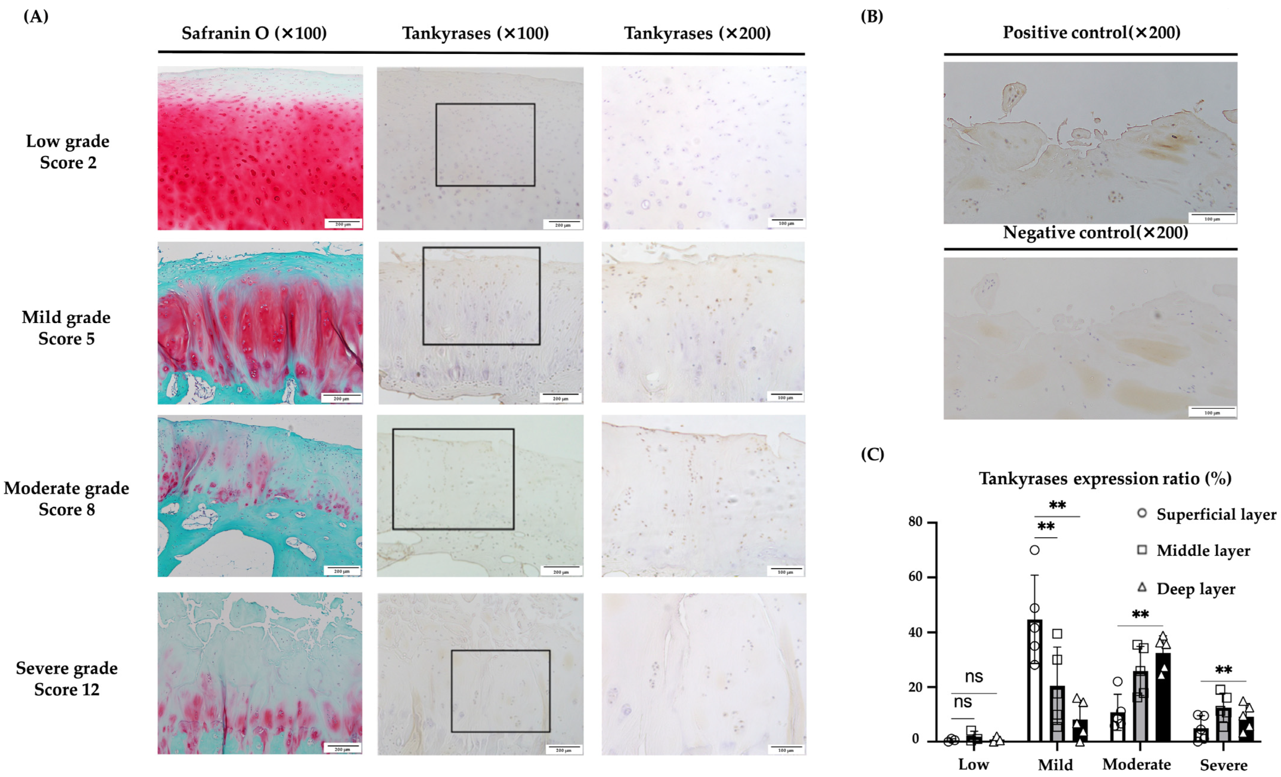Ijms 25 01443 g007 Ijms 25 01443 g007