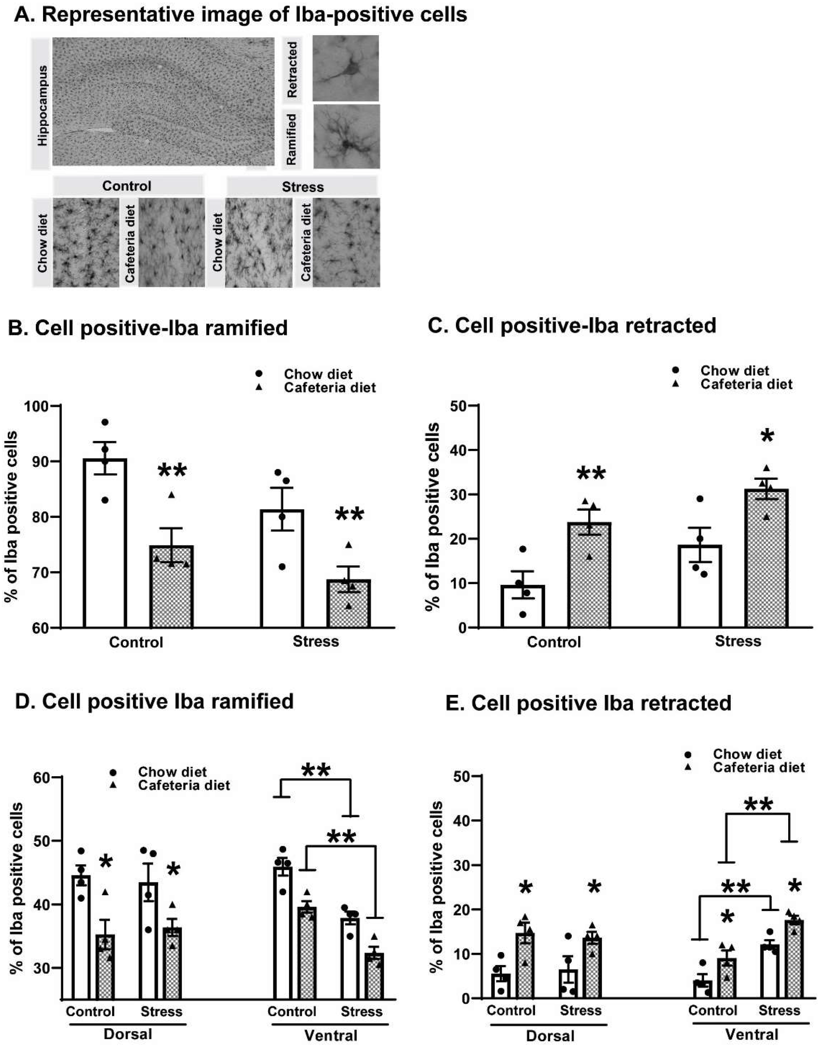 Ijms 25 01455 g003 Ijms 25 01455 g003