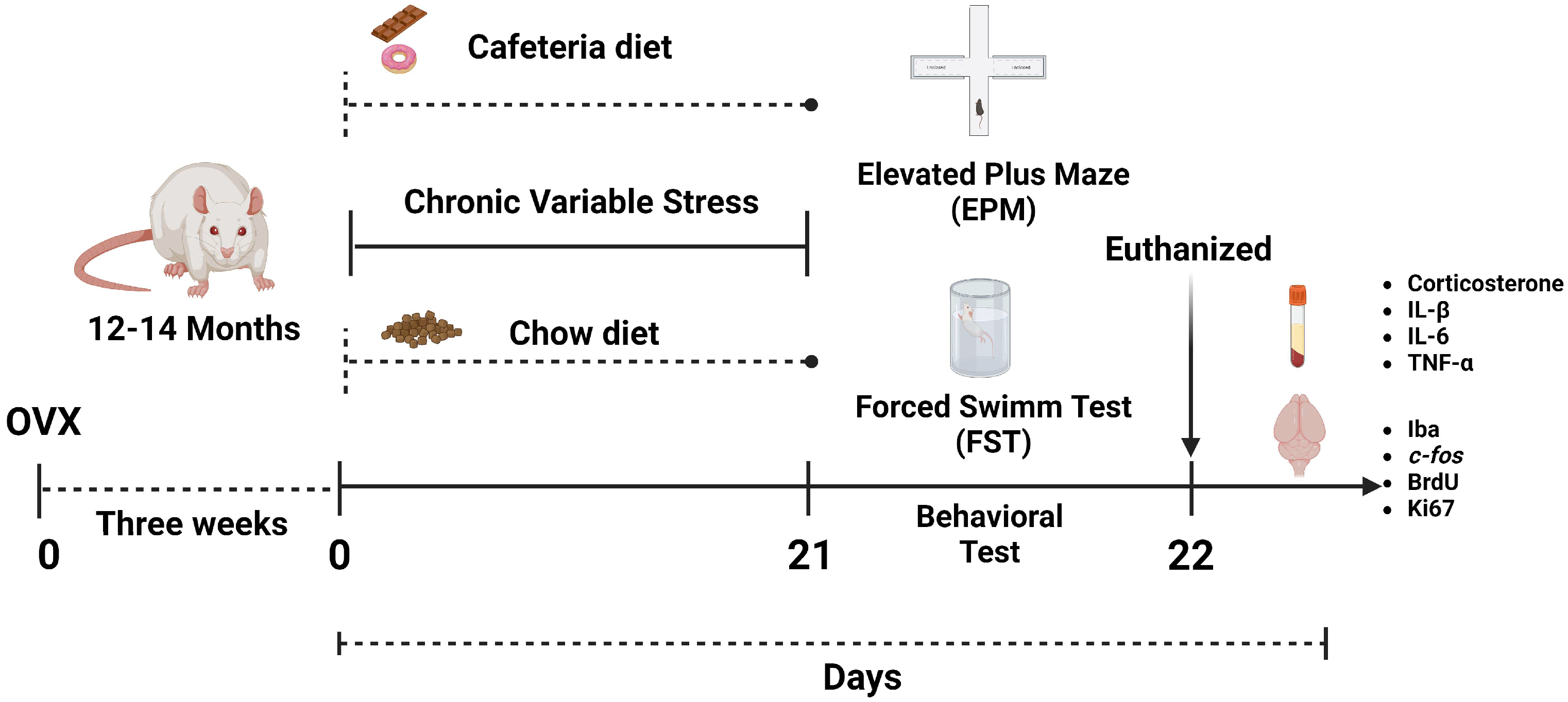 Ijms 25 01455 g005 Ijms 25 01455 g005