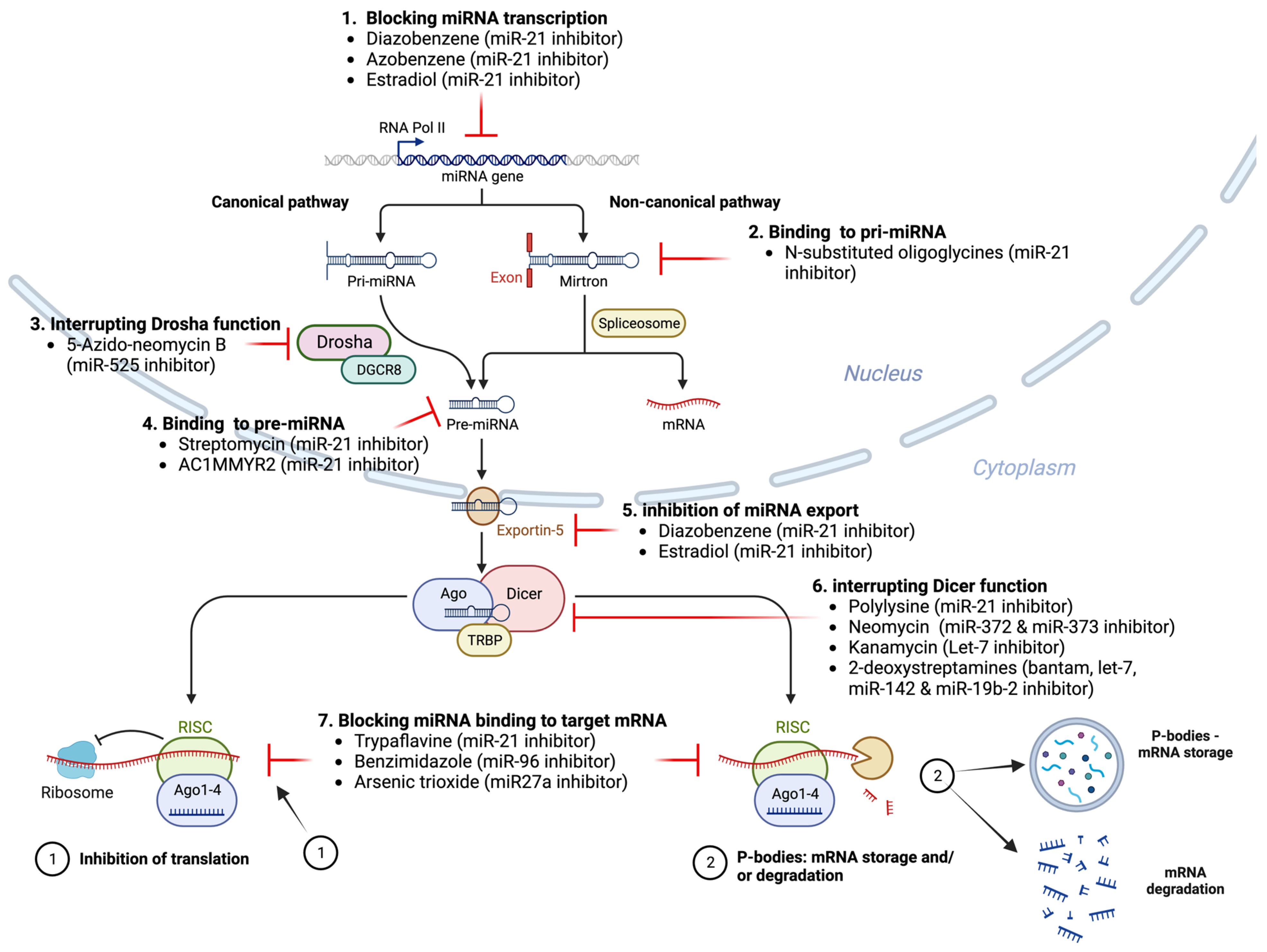 Trials and Tribulations of MicroRNA Therapeutics