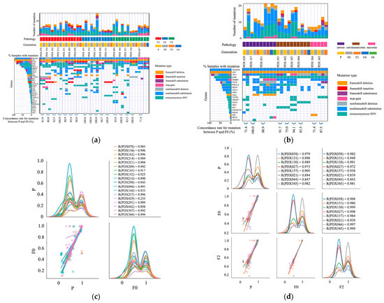 IJMS | Free Full-Text | Consistency Between Primary Uterine Corpus.