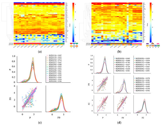 IJMS | Free Full-Text | Consistency Between Primary Uterine Corpus.