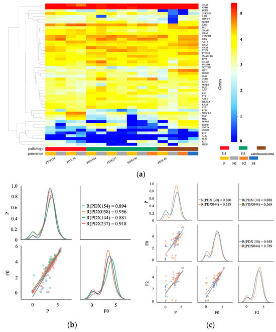 IJMS | Free Full-Text | Consistency Between Primary Uterine Corpus.