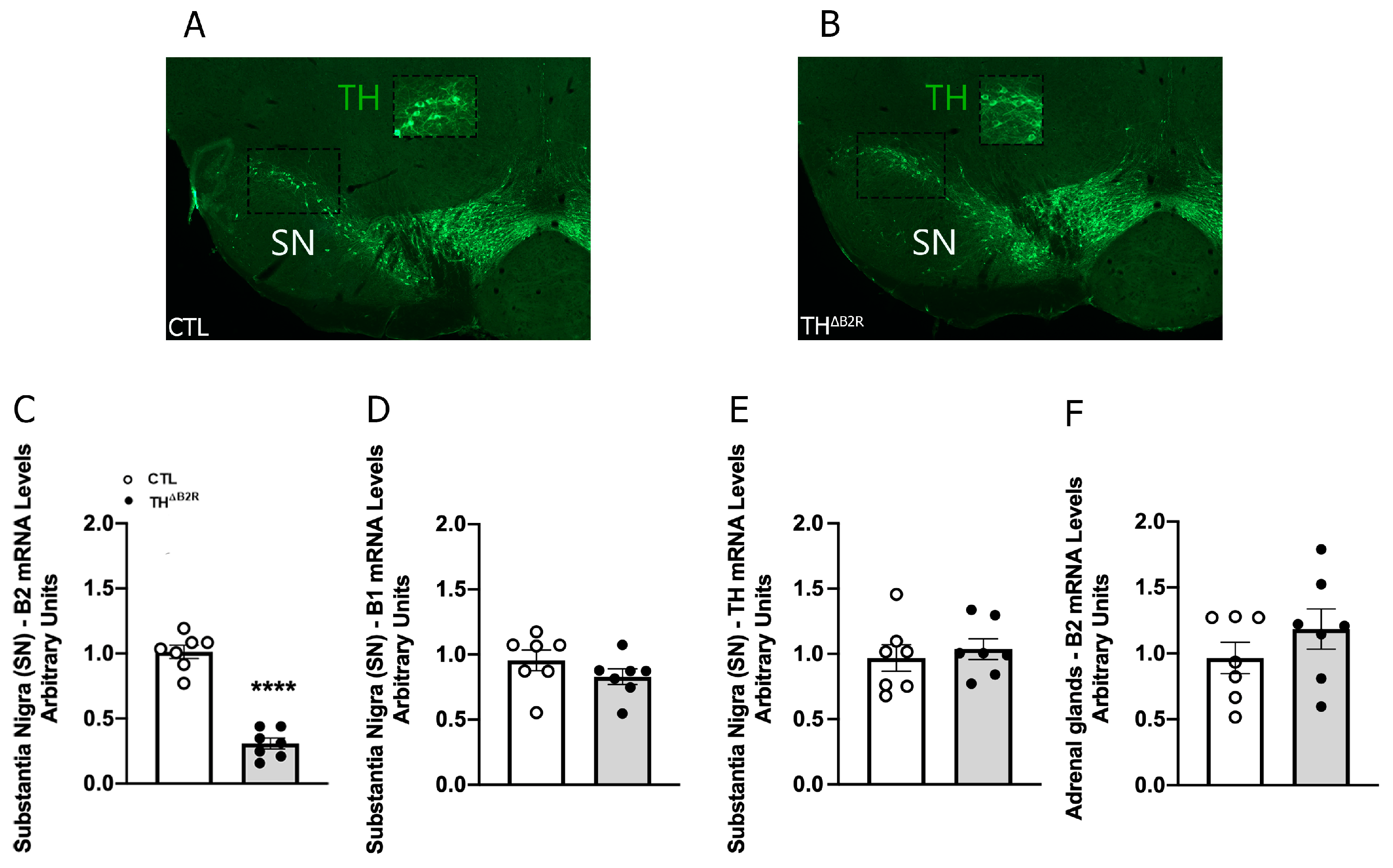 Ijms 25 01490 g001 Ijms 25 01490 g001