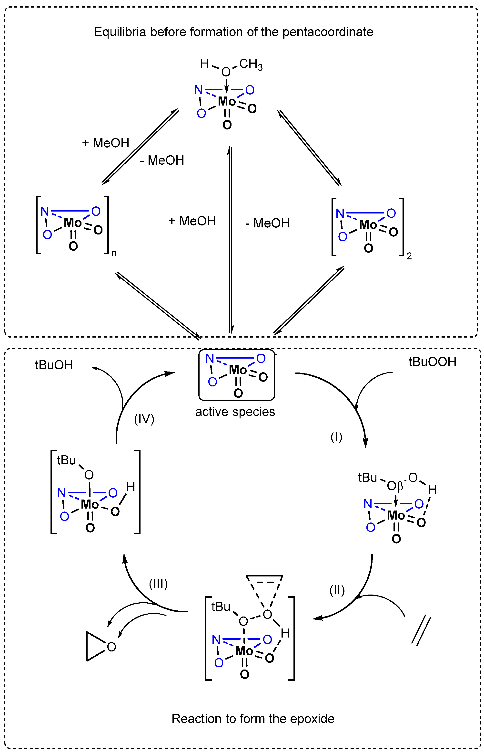 Ijms 25 01503 sch002