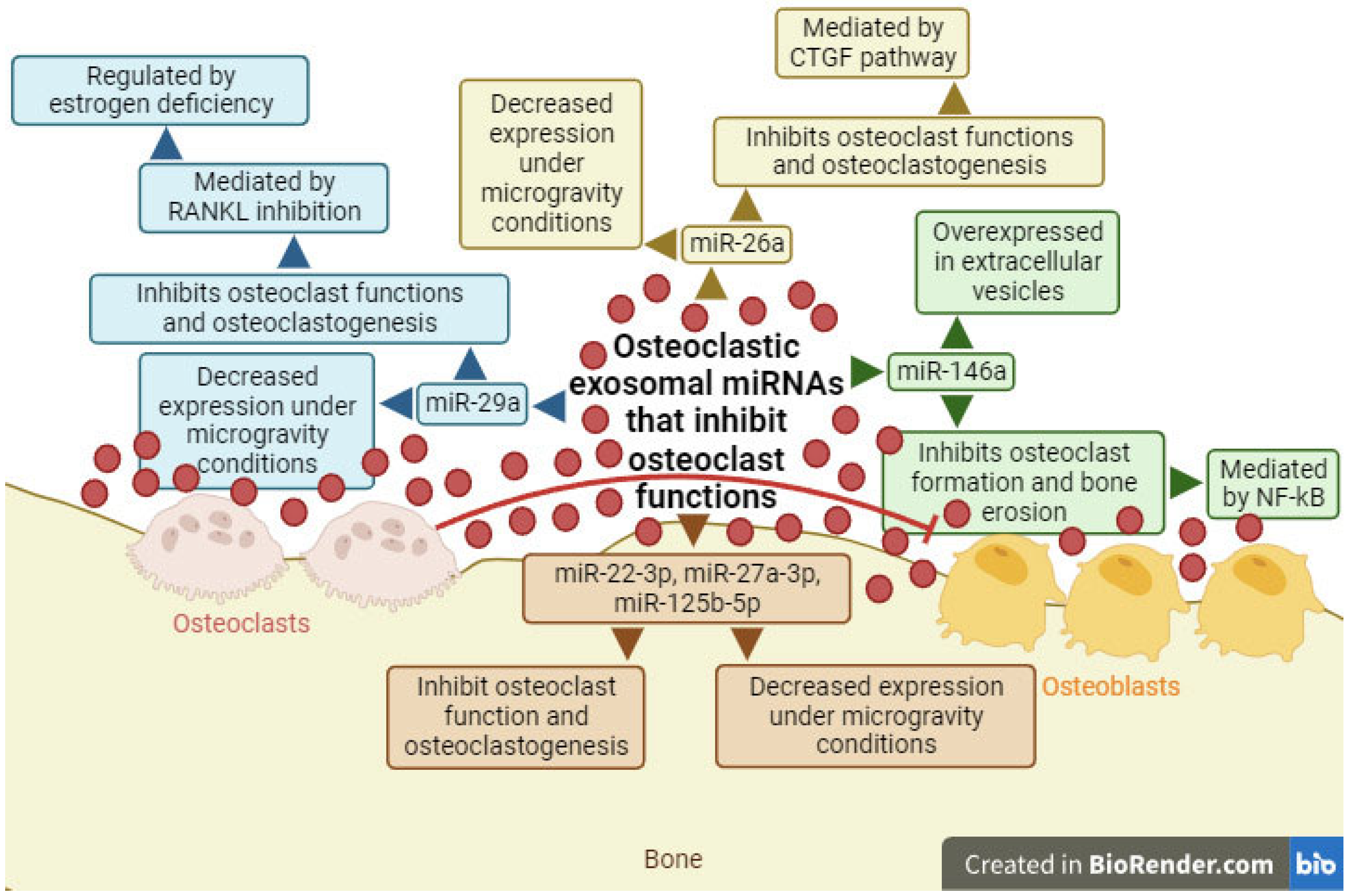 Ijms 25 01506 g004 Ijms 25 01506 g004