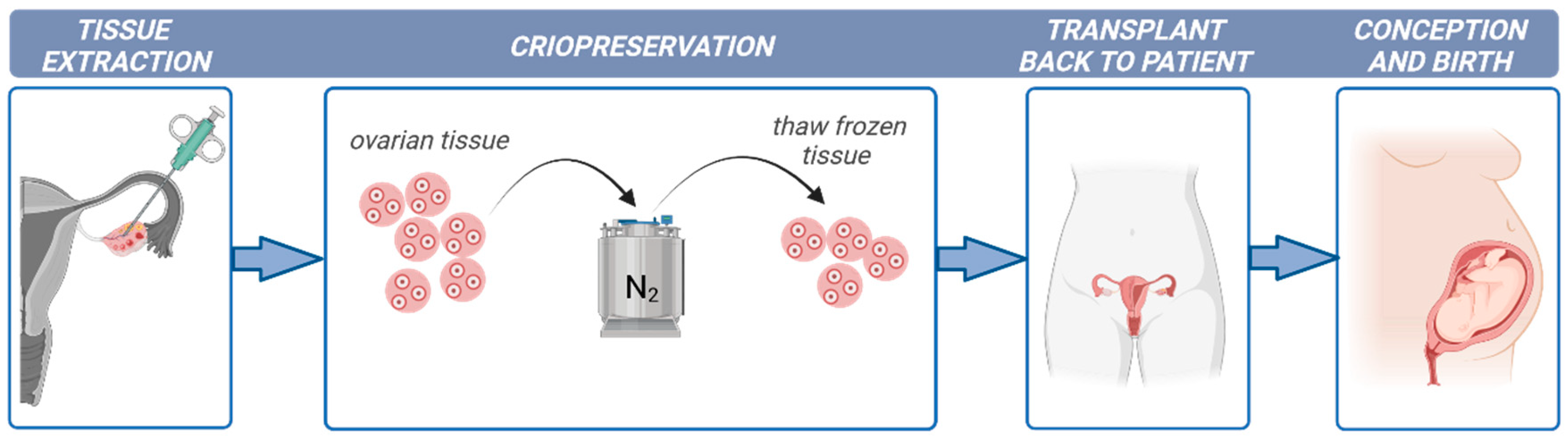 Ijms 25 01510 g001 Ijms 25 01510 g001
