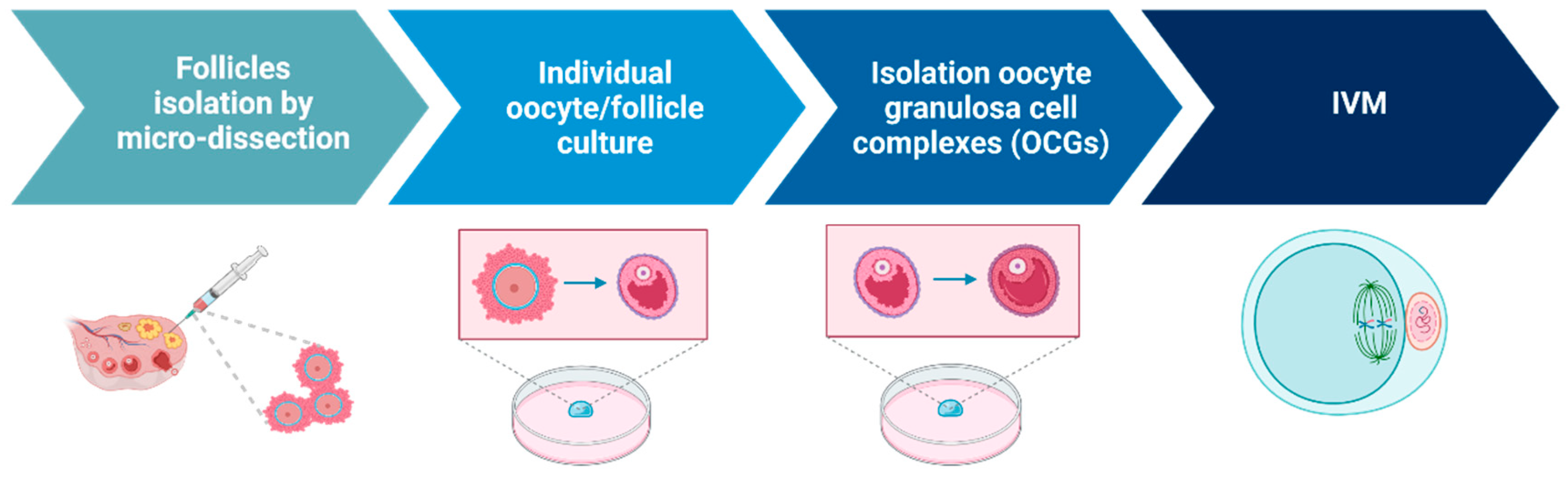 Nitrogen-Doped Carbon Matrix to Optimize Cycling Stability