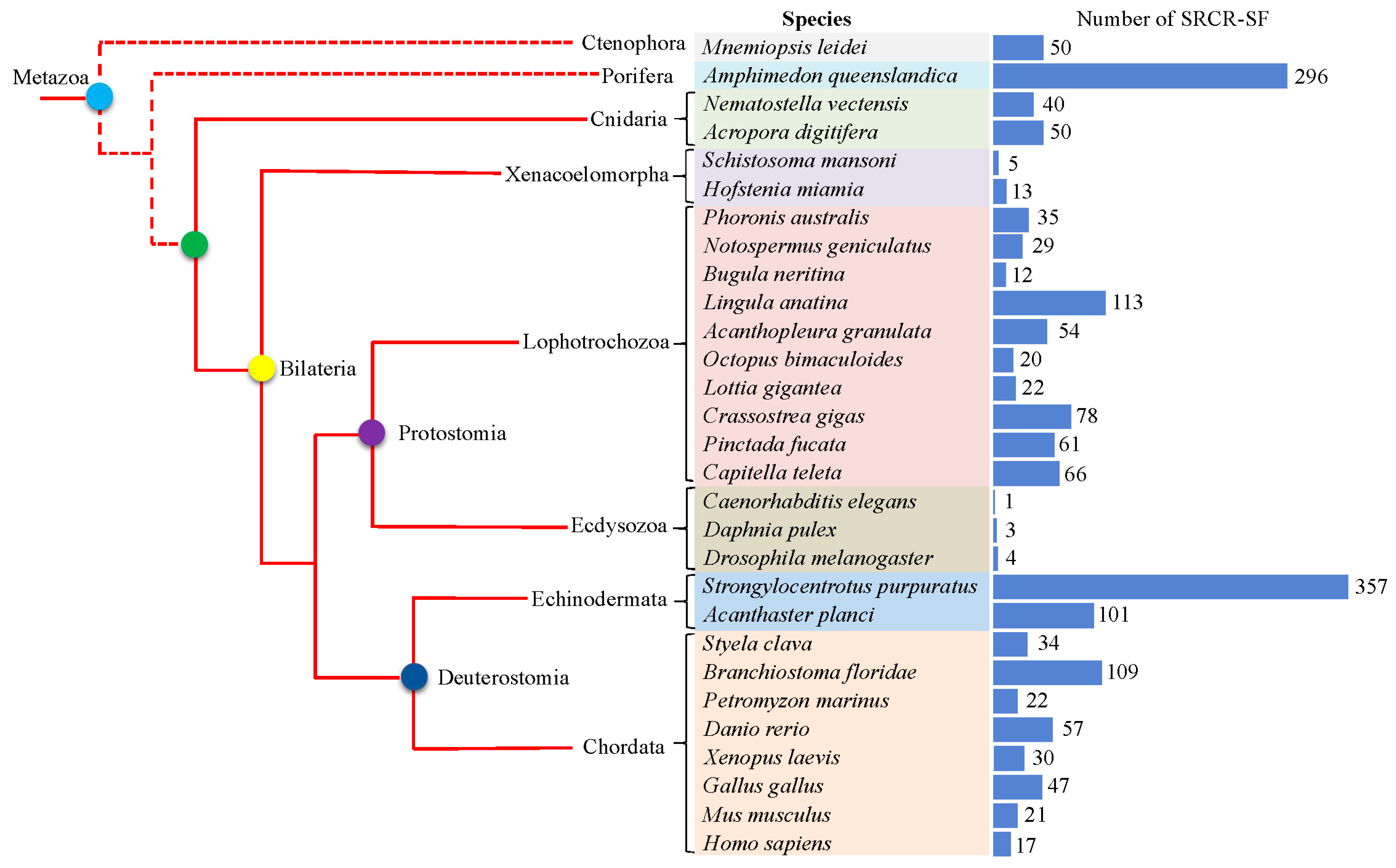 Ijms 25 01515 g001 Ijms 25 01515 g001