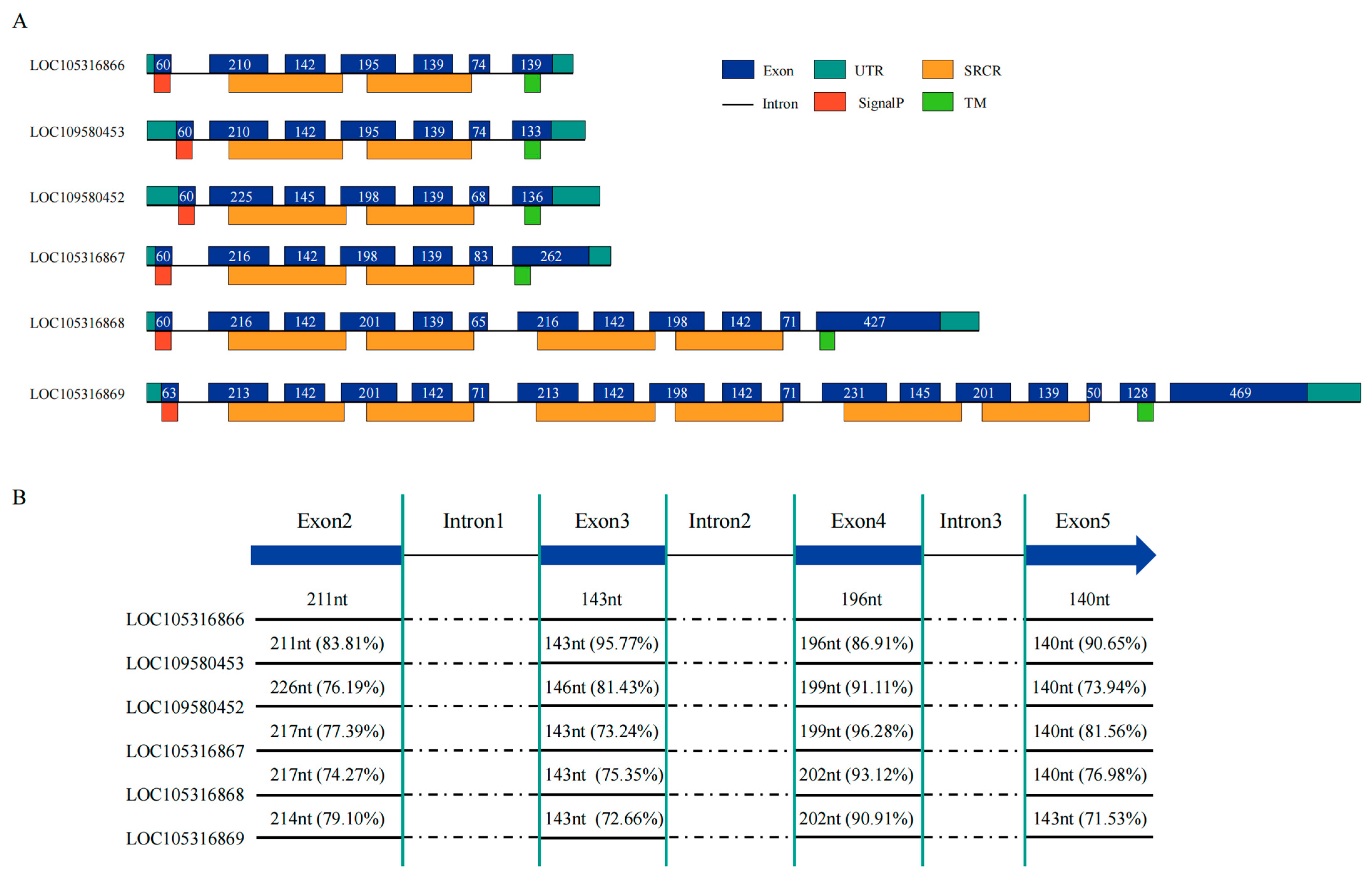 Ijms 25 01515 g004 Ijms 25 01515 g004