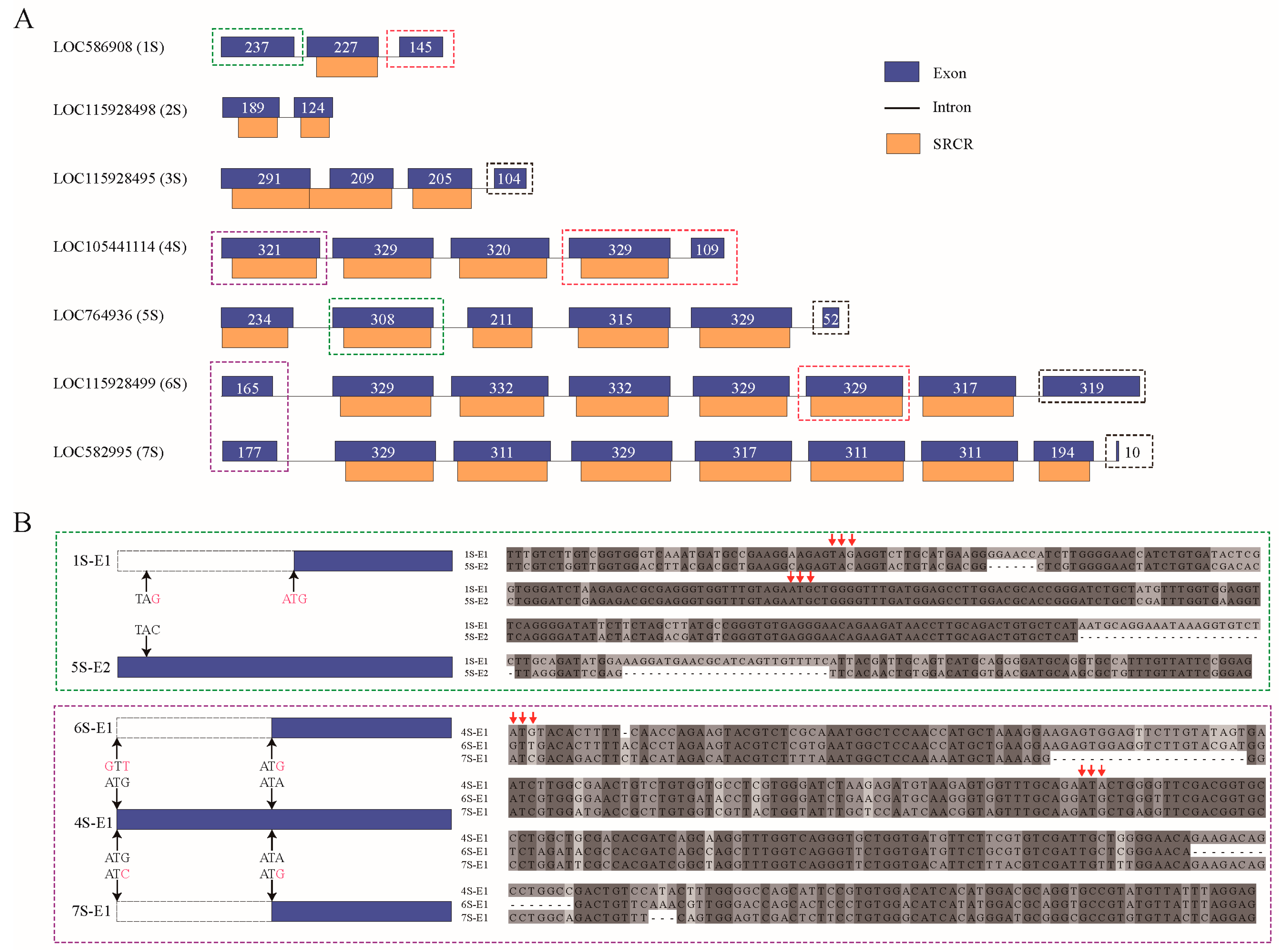 Ijms 25 01515 g007 Ijms 25 01515 g007