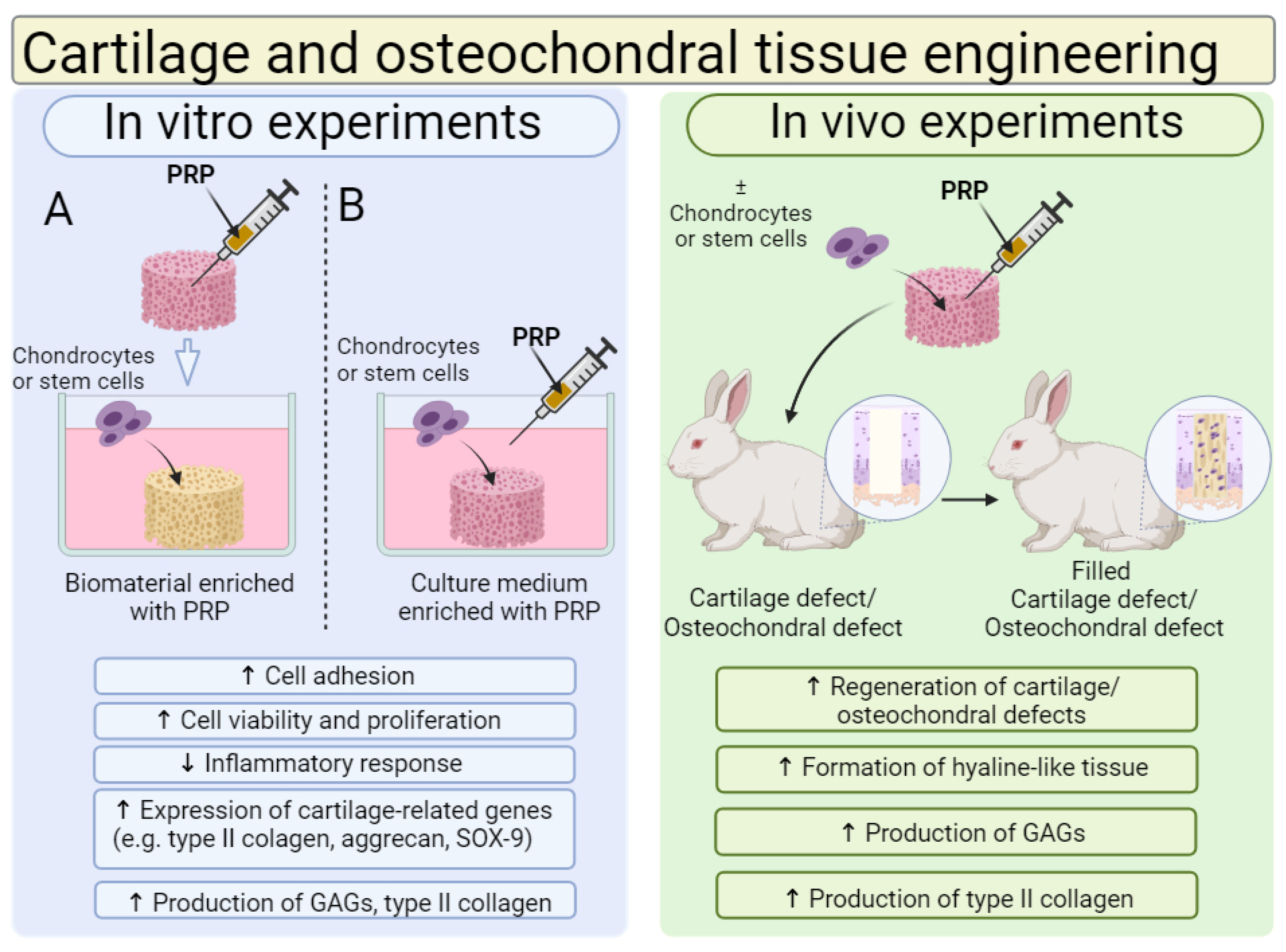Ijms 25 01525 g007 Ijms 25 01525 g007