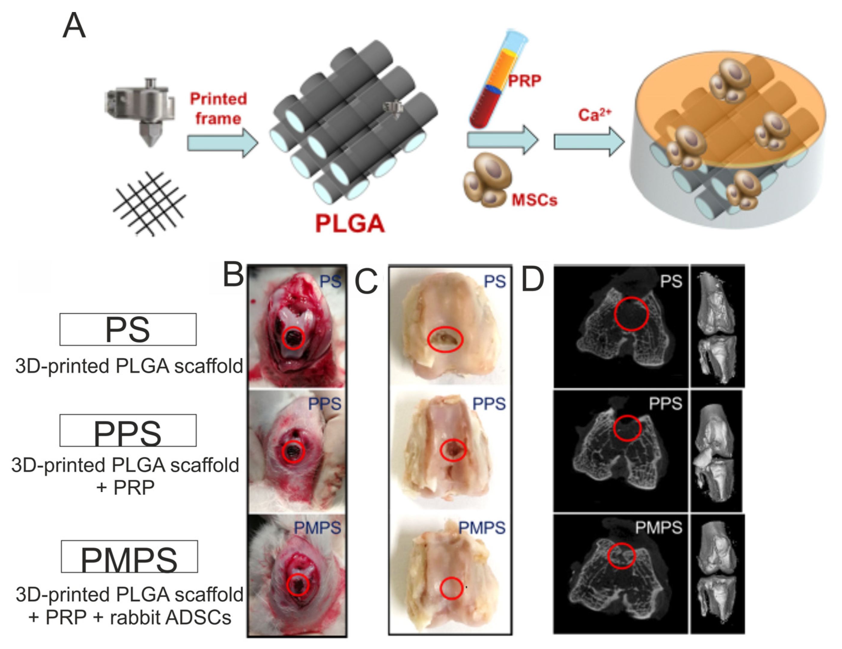 Ijms 25 01525 g008 Ijms 25 01525 g008