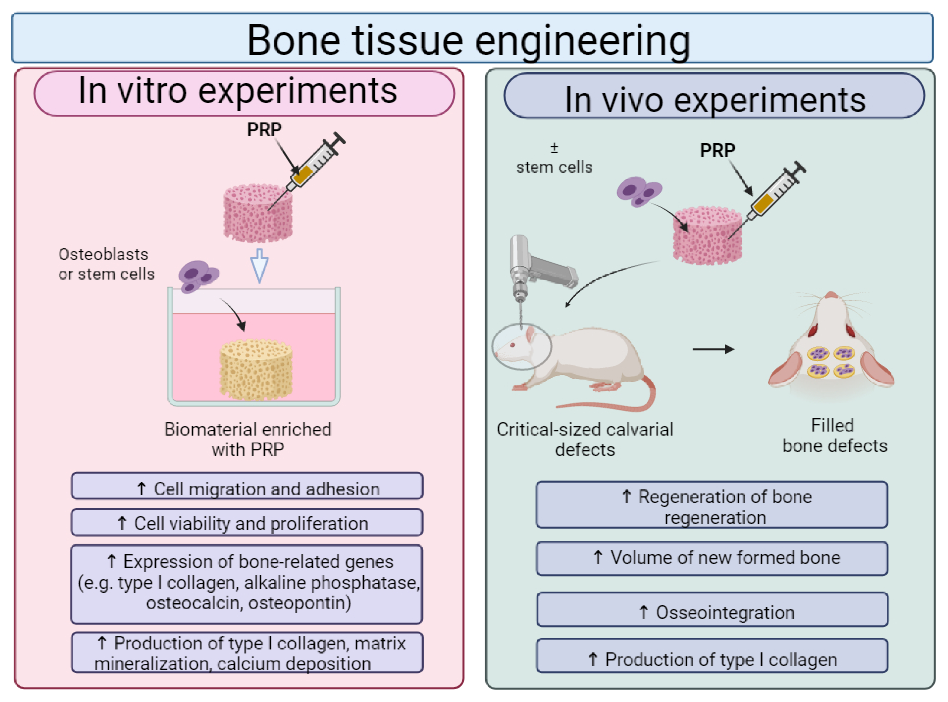 Ijms 25 01525 g009 Ijms 25 01525 g009