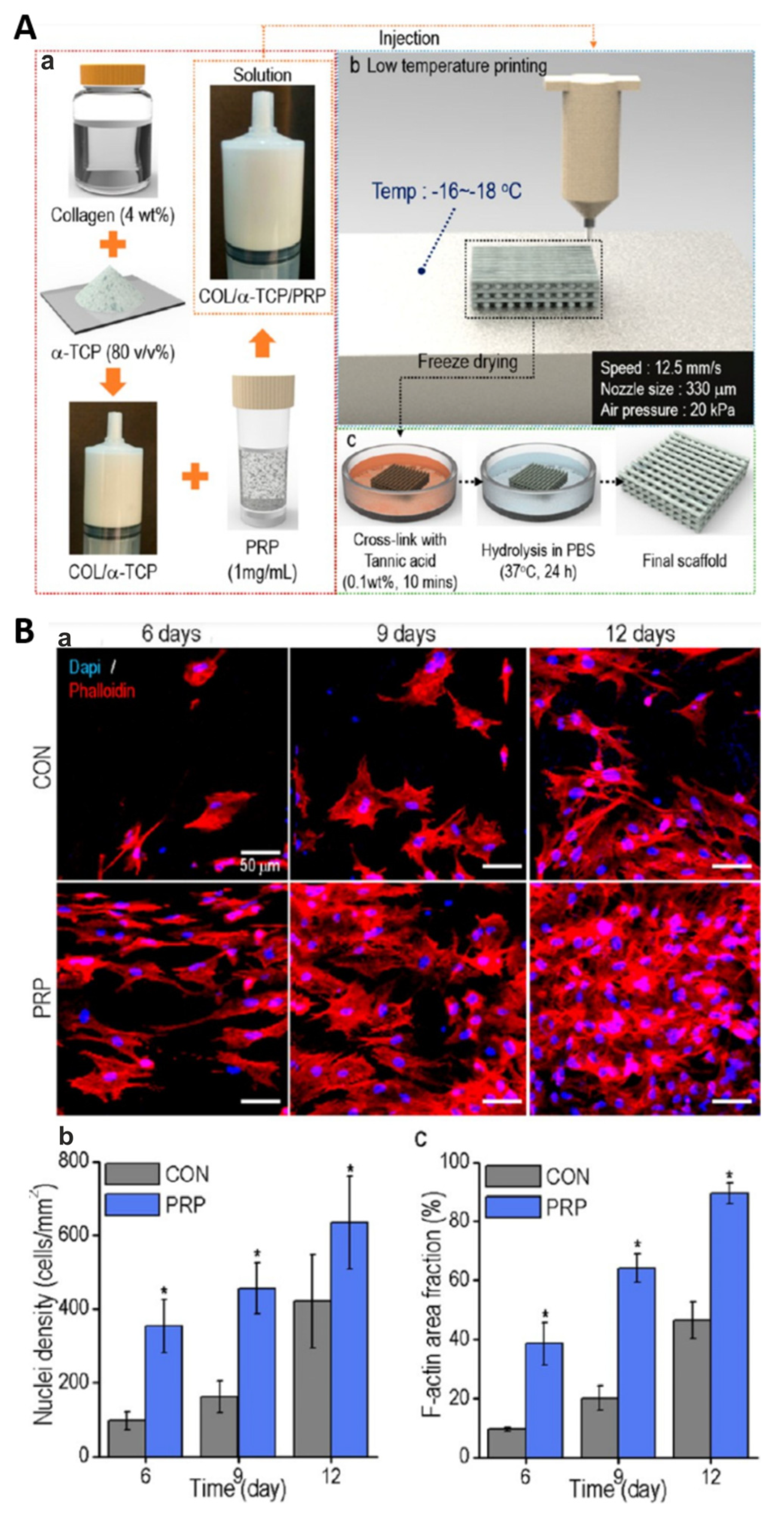 Ijms 25 01525 g010 Ijms 25 01525 g010