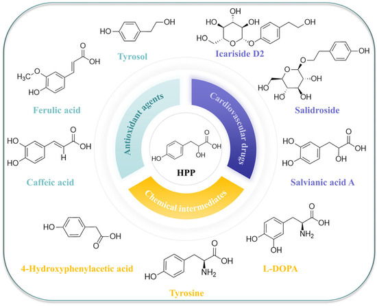 Directed Evolution of 4-Hydroxyphenylpyruvate Biosensors