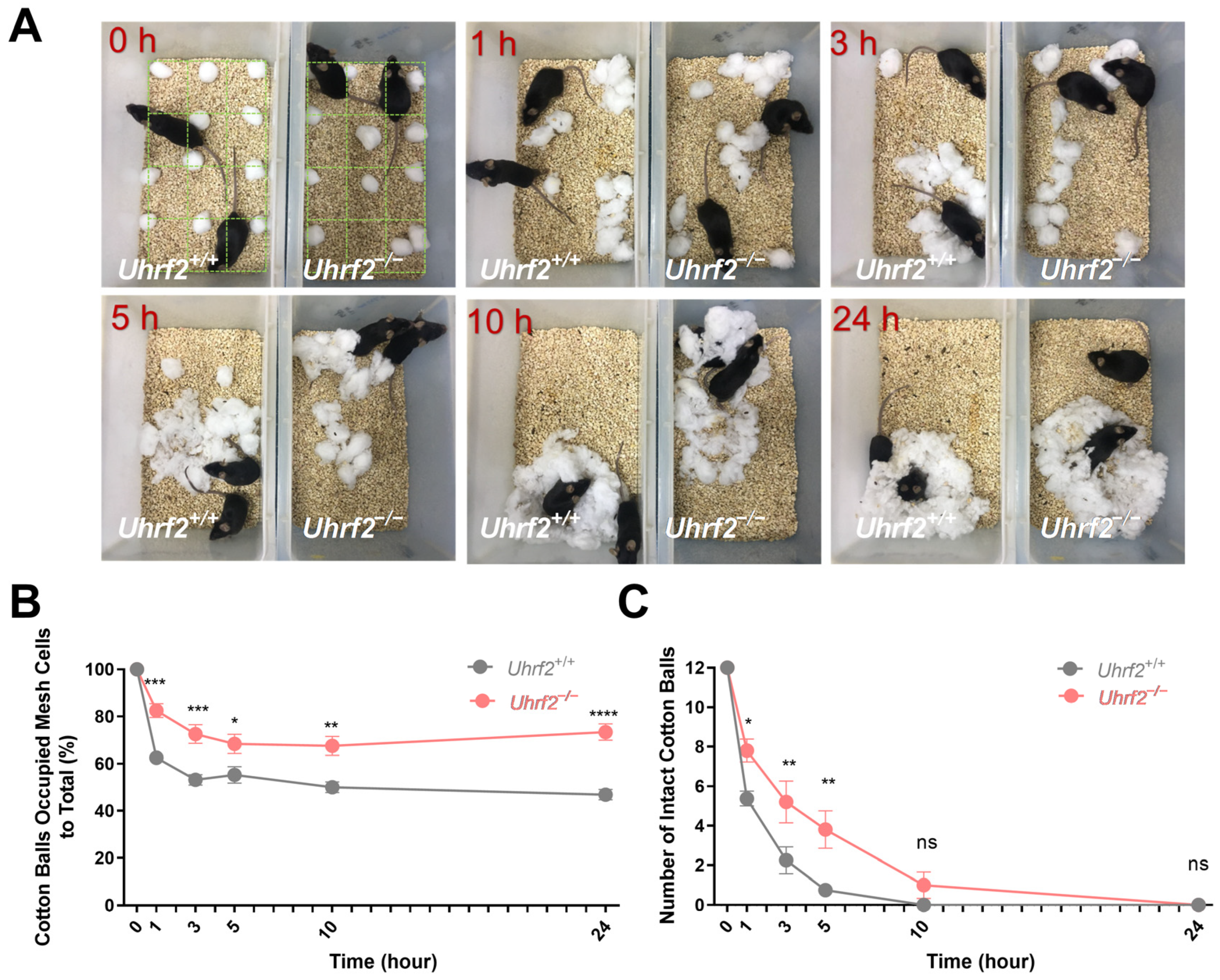 Ijms 25 01543 g001 Ijms 25 01543 g001