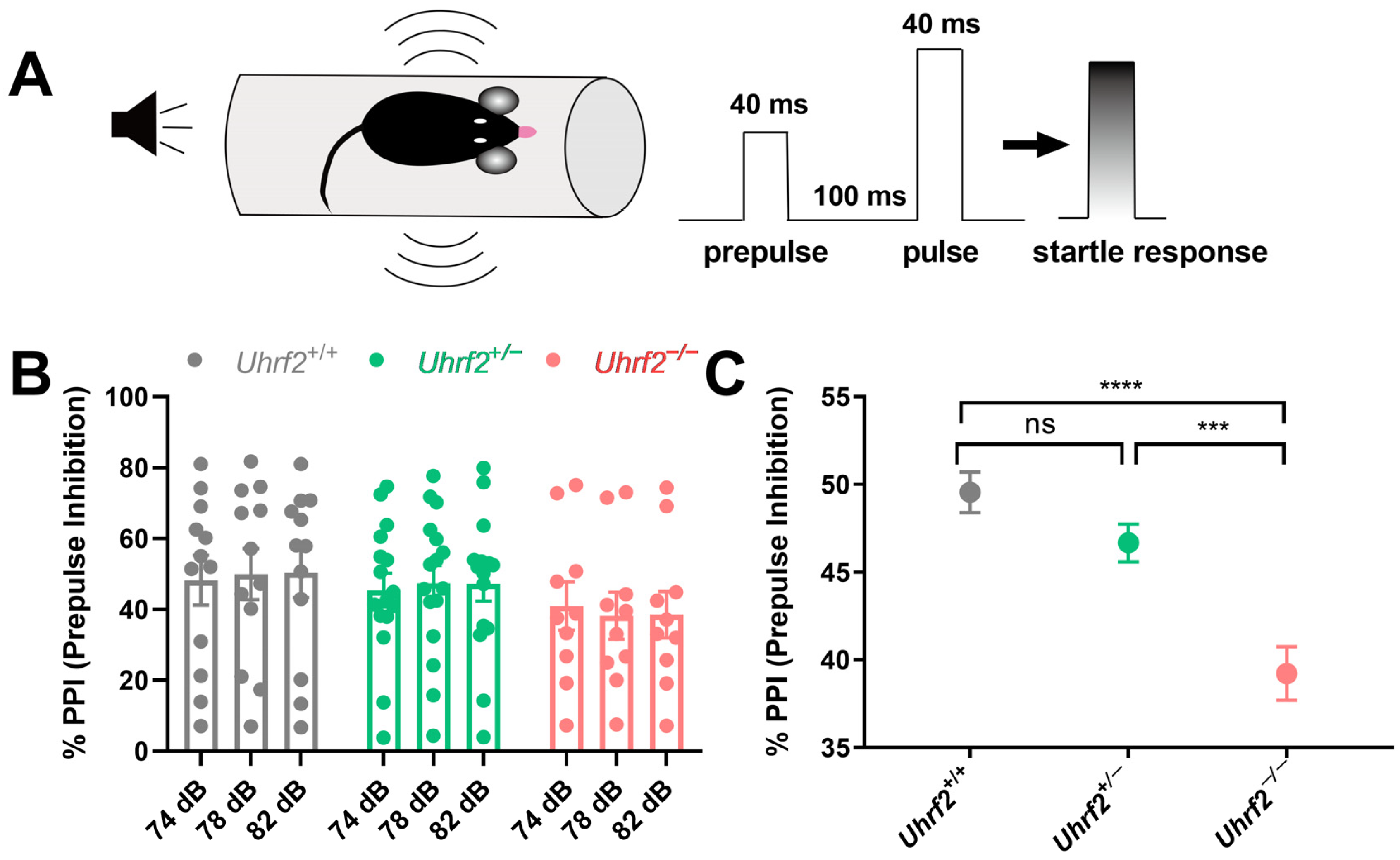 Ijms 25 01543 g003 Ijms 25 01543 g003