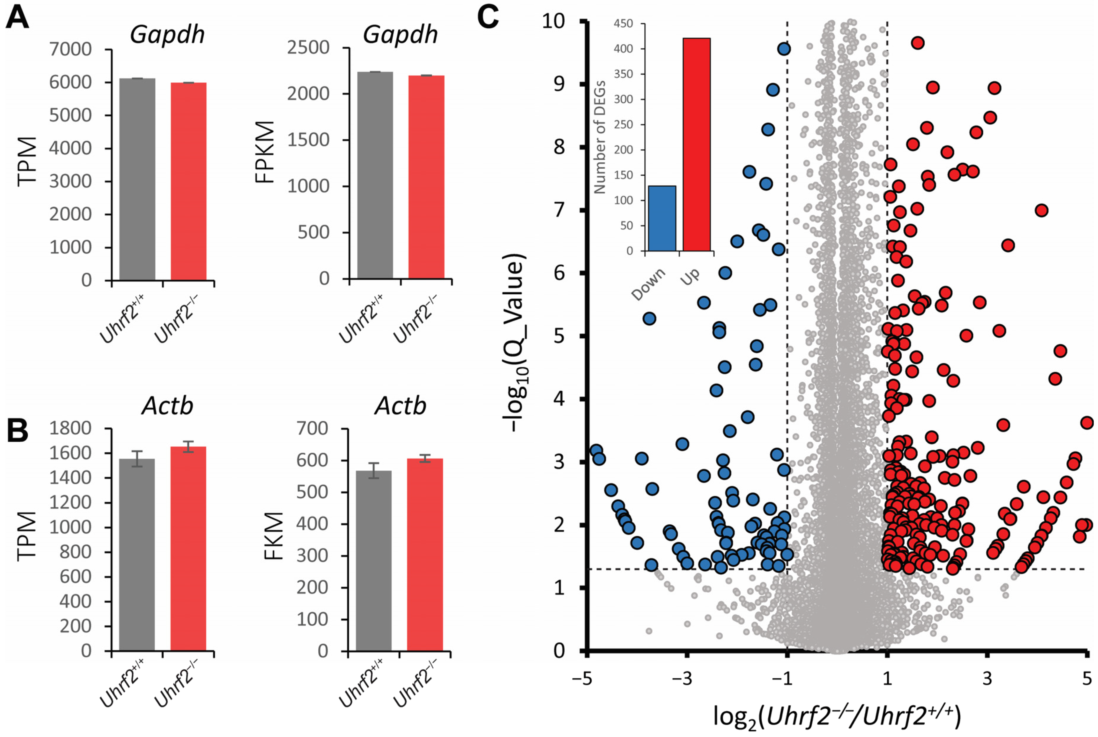 Ijms 25 01543 g007 Ijms 25 01543 g007