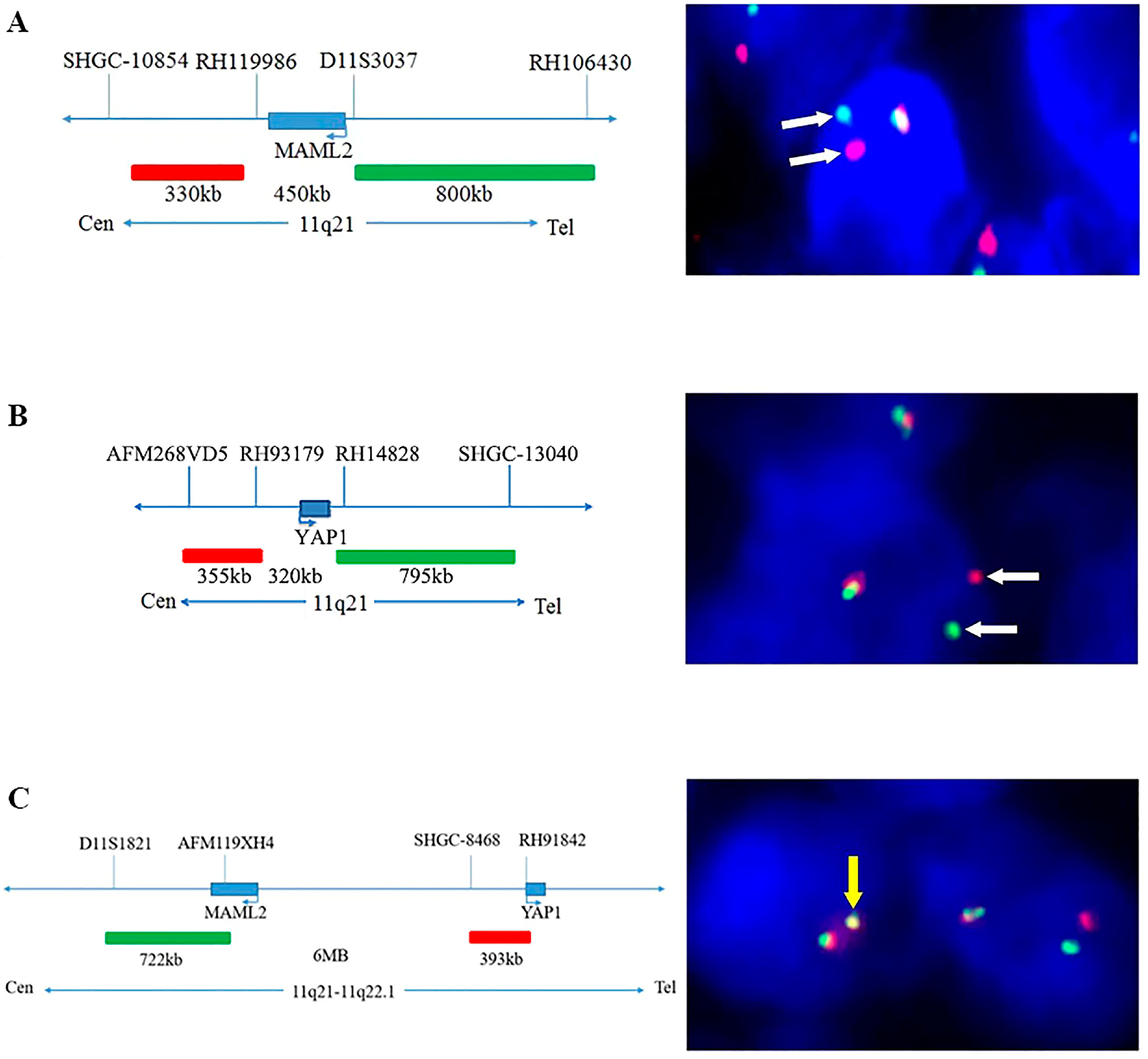 Ijms 25 01554 g002 Ijms 25 01554 g002
