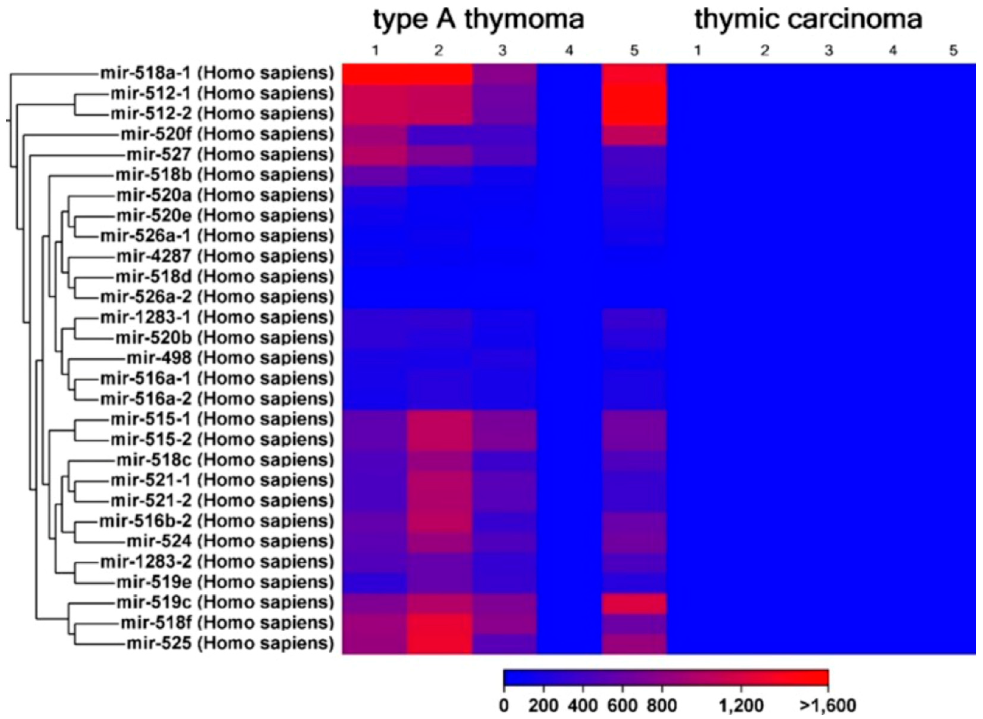 Ijms 25 01554 g003 Ijms 25 01554 g003