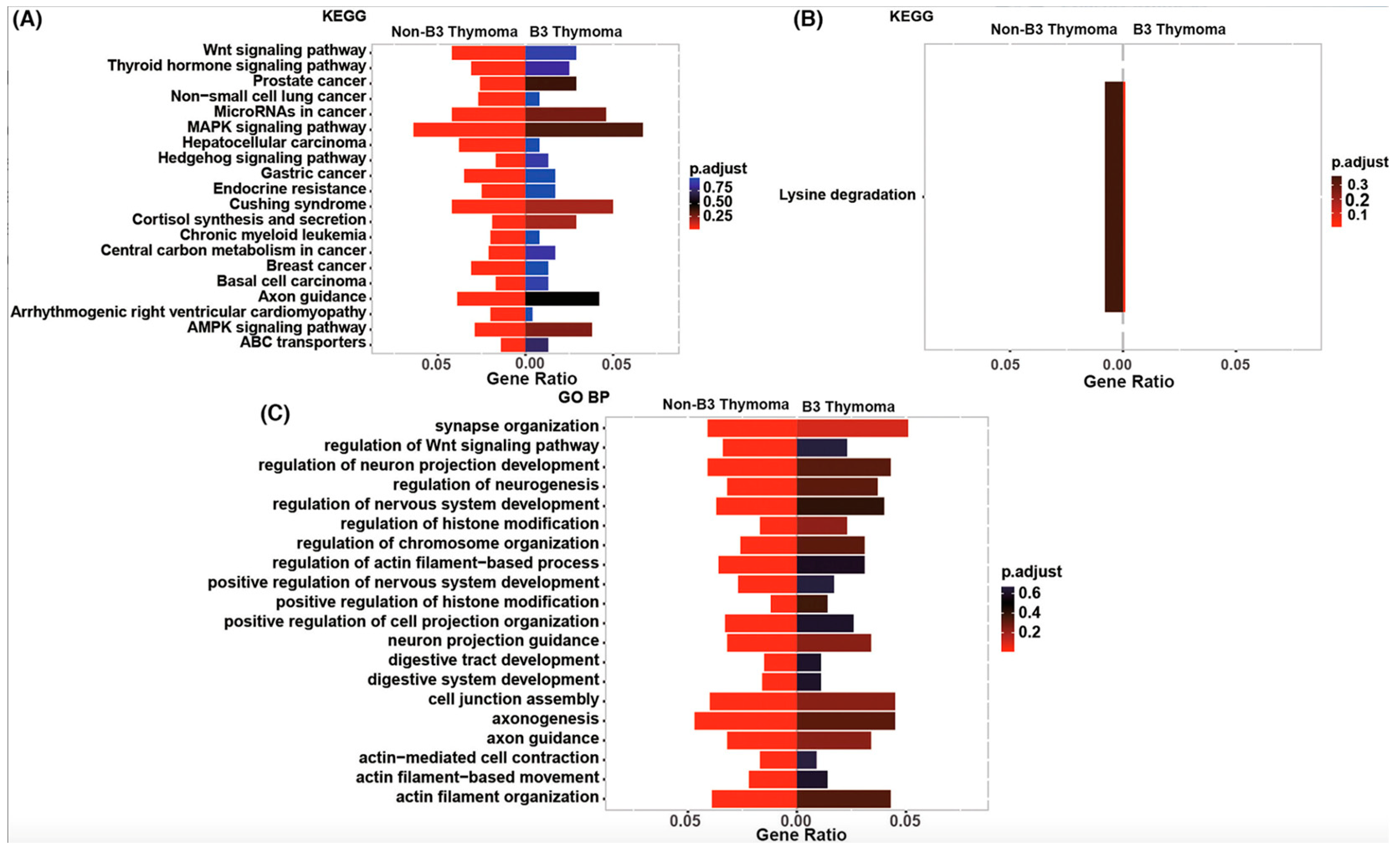 Ijms 25 01554 g006 Ijms 25 01554 g006