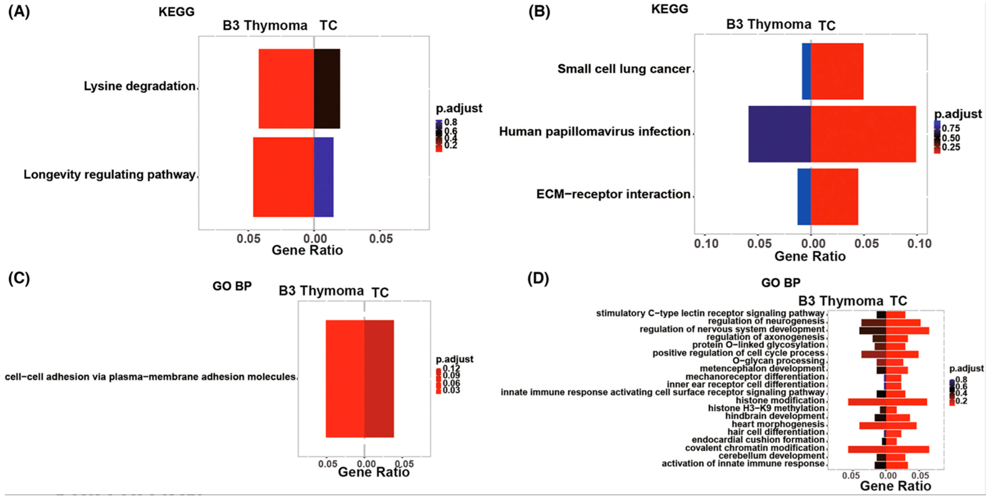 Ijms 25 01554 g008 Ijms 25 01554 g008