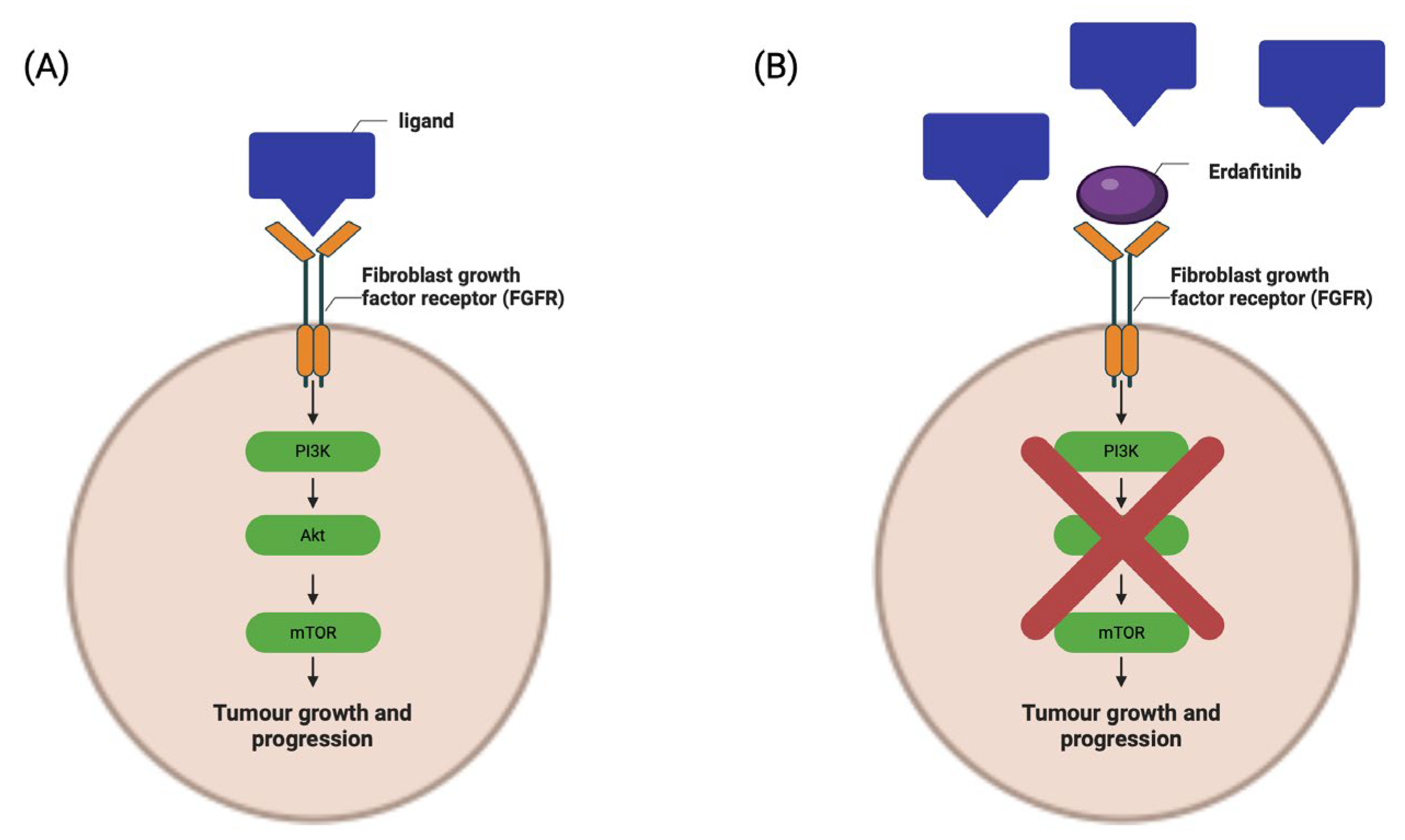 Ijms 25 01557 g003 Ijms 25 01557 g003